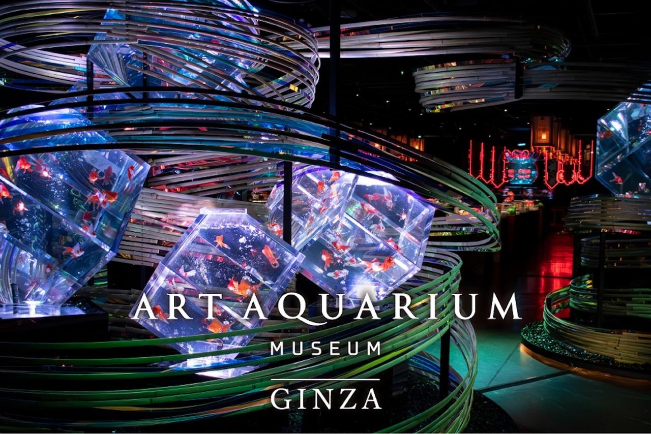 Tokyo Art Aquarium Museum GINZA Admission Ticket