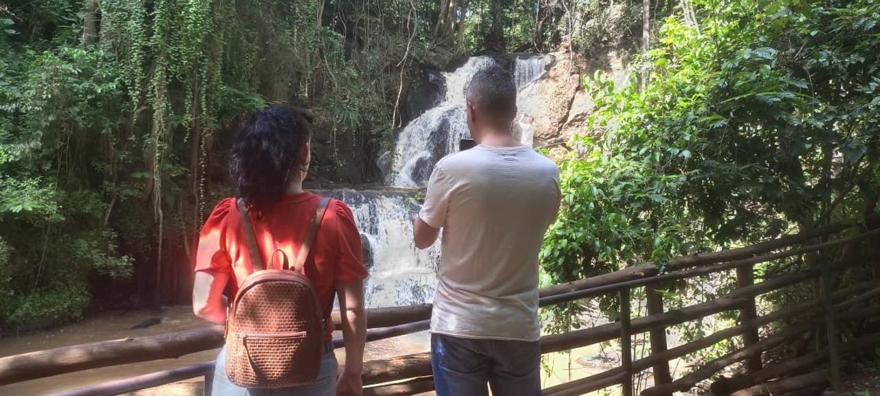 Karura Forest Hidden Waterfalls & Picnic Hike