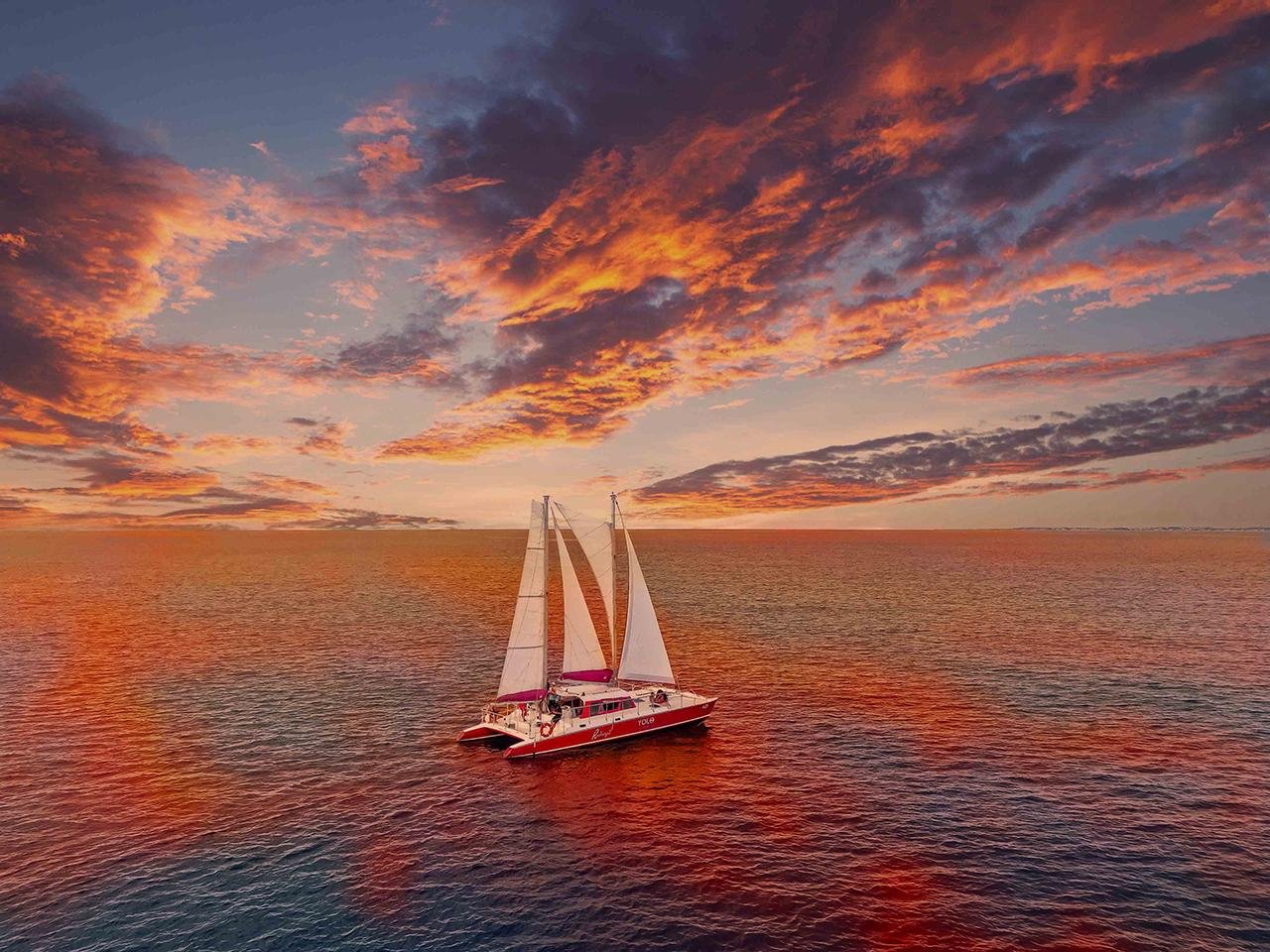Aruba Catamaran: Turtle Swim, Shipwreck Snorkel & Sunset BBQ