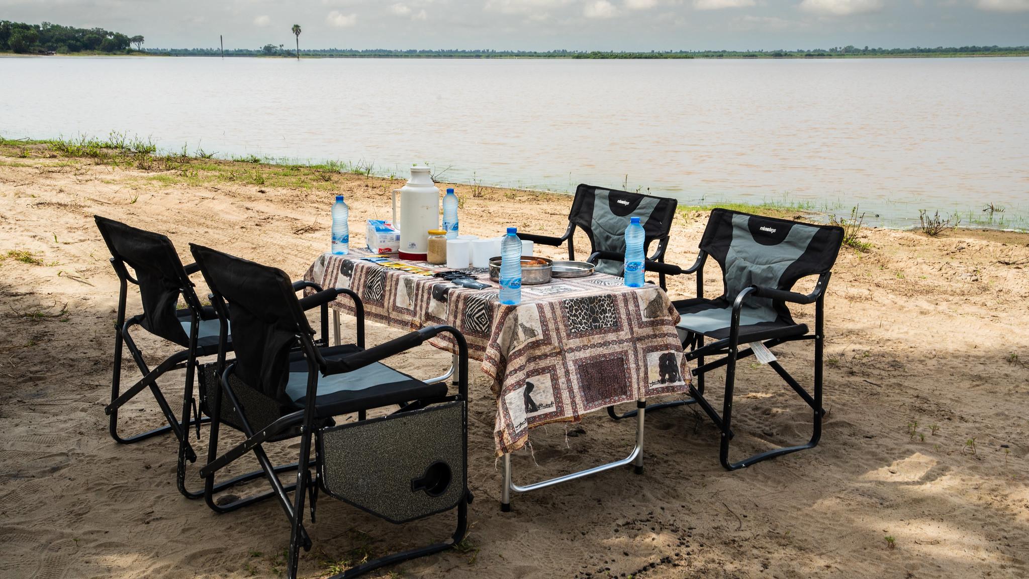 Zanzibar to Selous: Full-Day Safari with Bush Lunch (+ 2-Day Option)