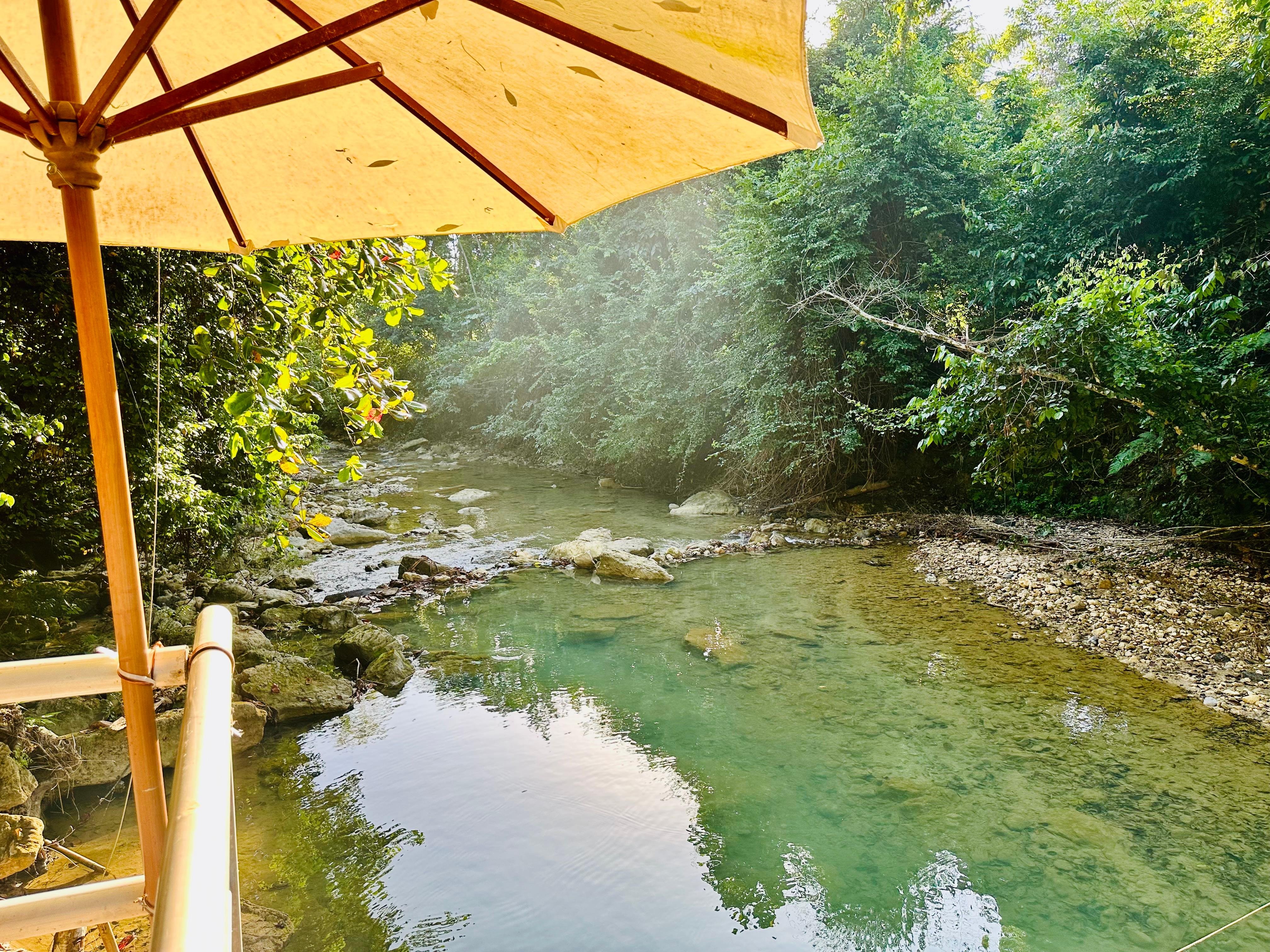 Dominican Republic 3-in-1: Los Haitises, Yanigua Falls & Montaña Redonda