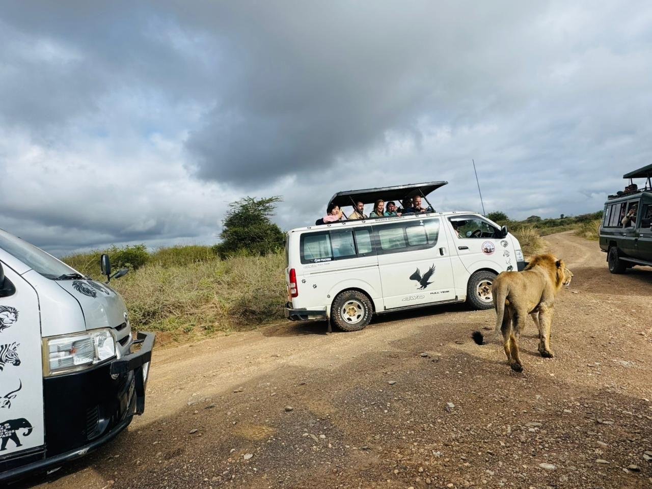Nairobi Safari: National Park, Elephant Orphanage & Giraffe Center