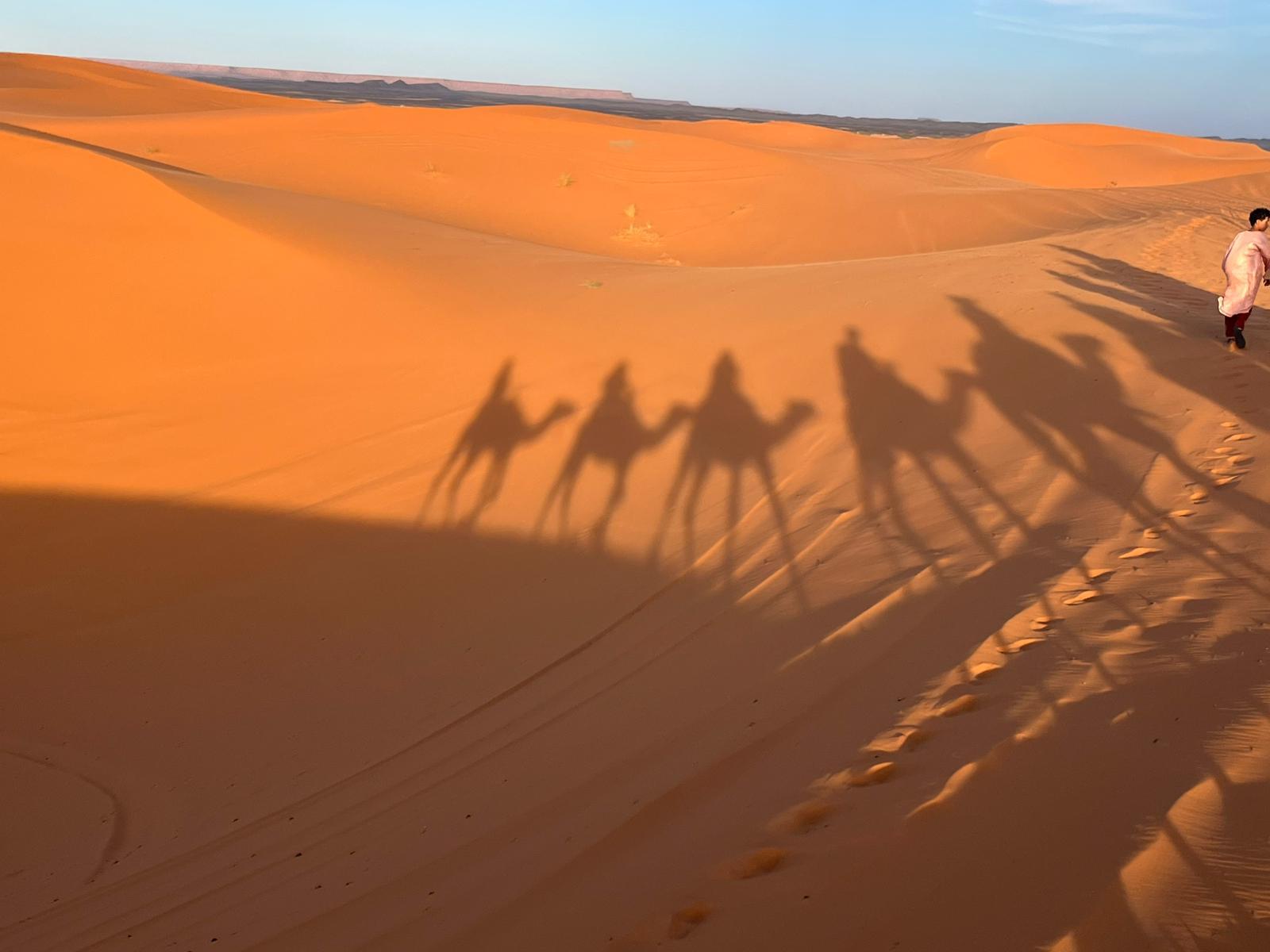 3-Day Sahara Desert Expedition: Fes to Marrakech