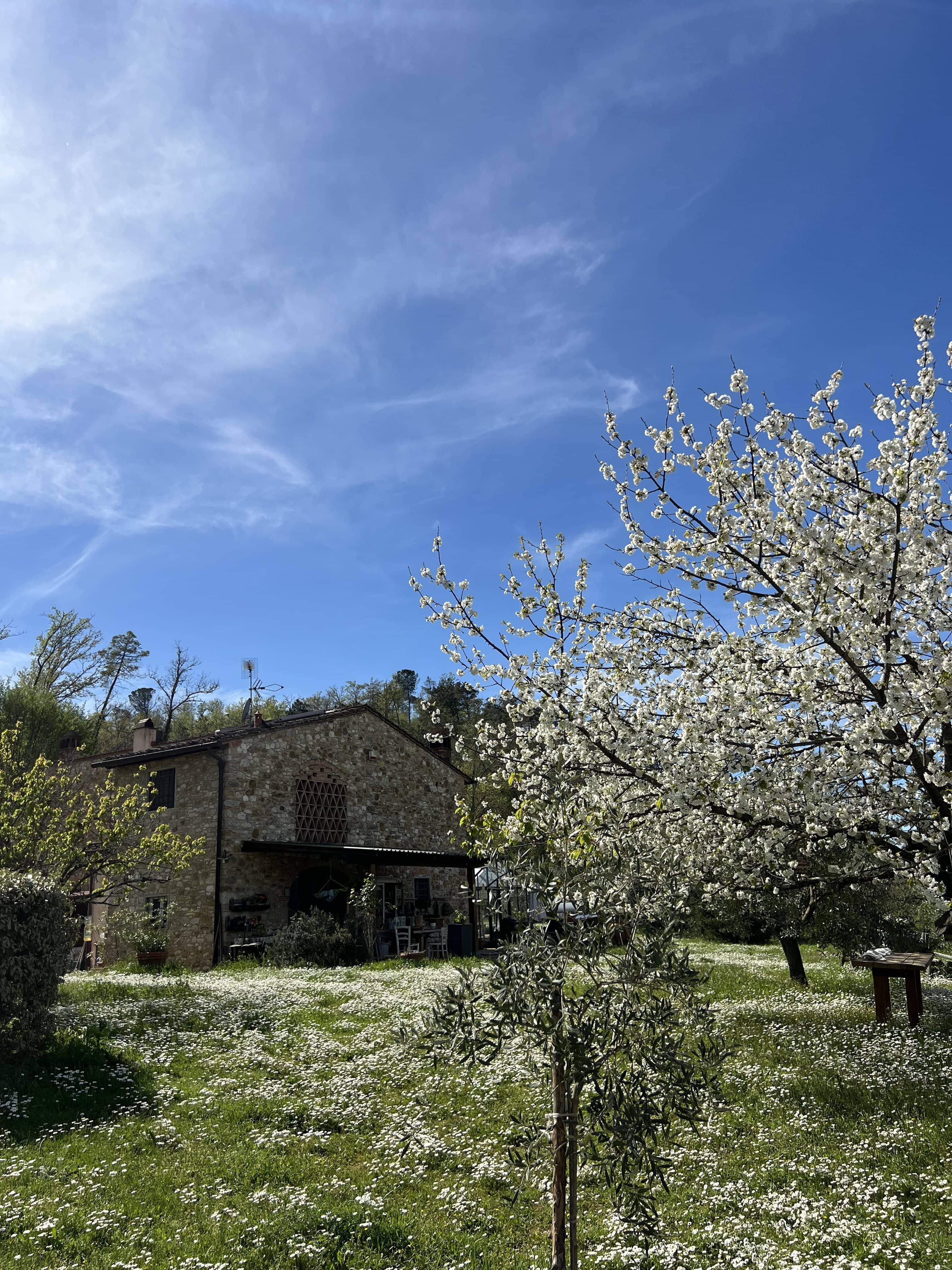 truffle hunting in Umbria — photo 23