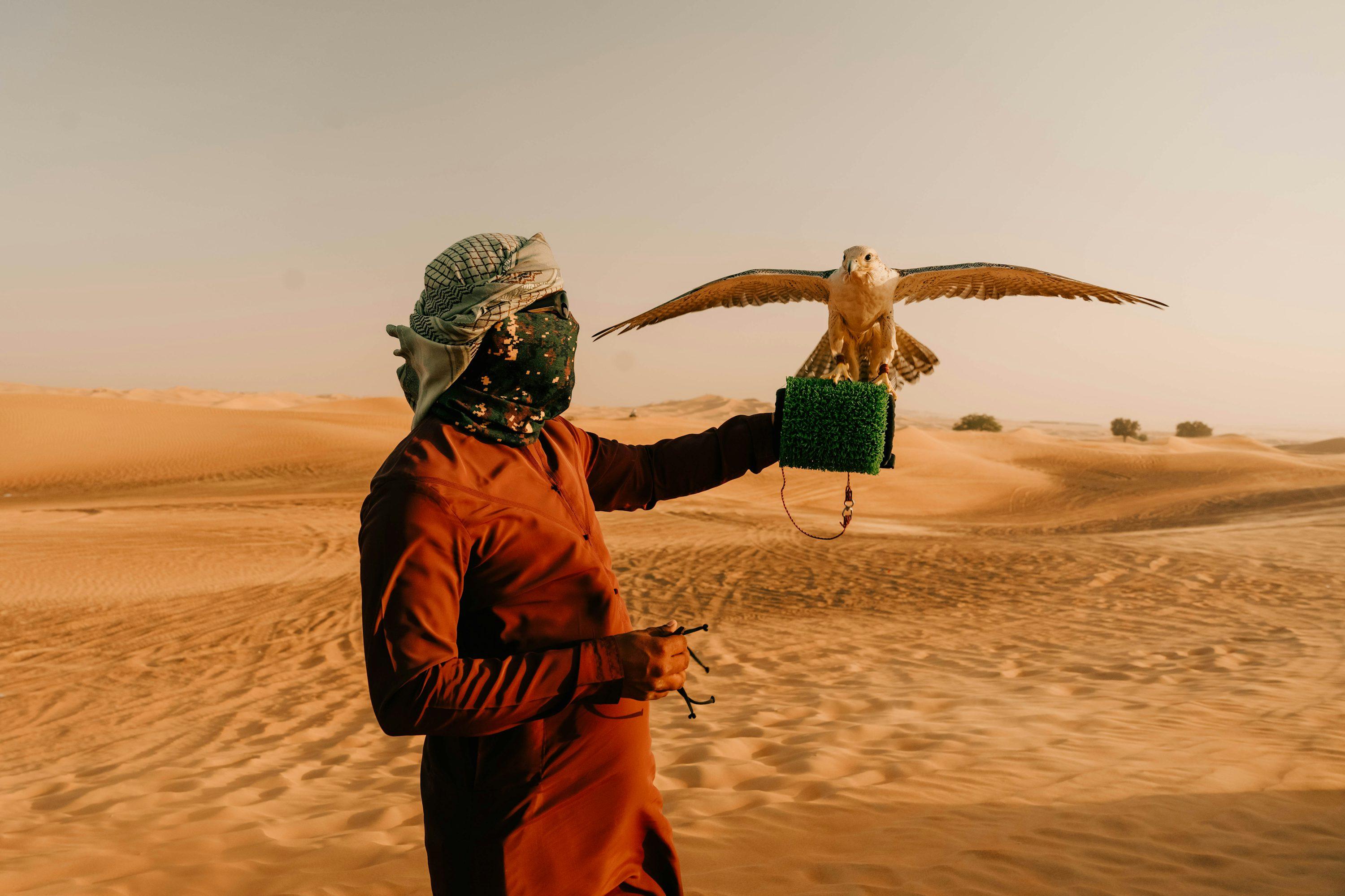 Doha Desert Safari: Dune Bashing, Sandboarding & Inland Sea