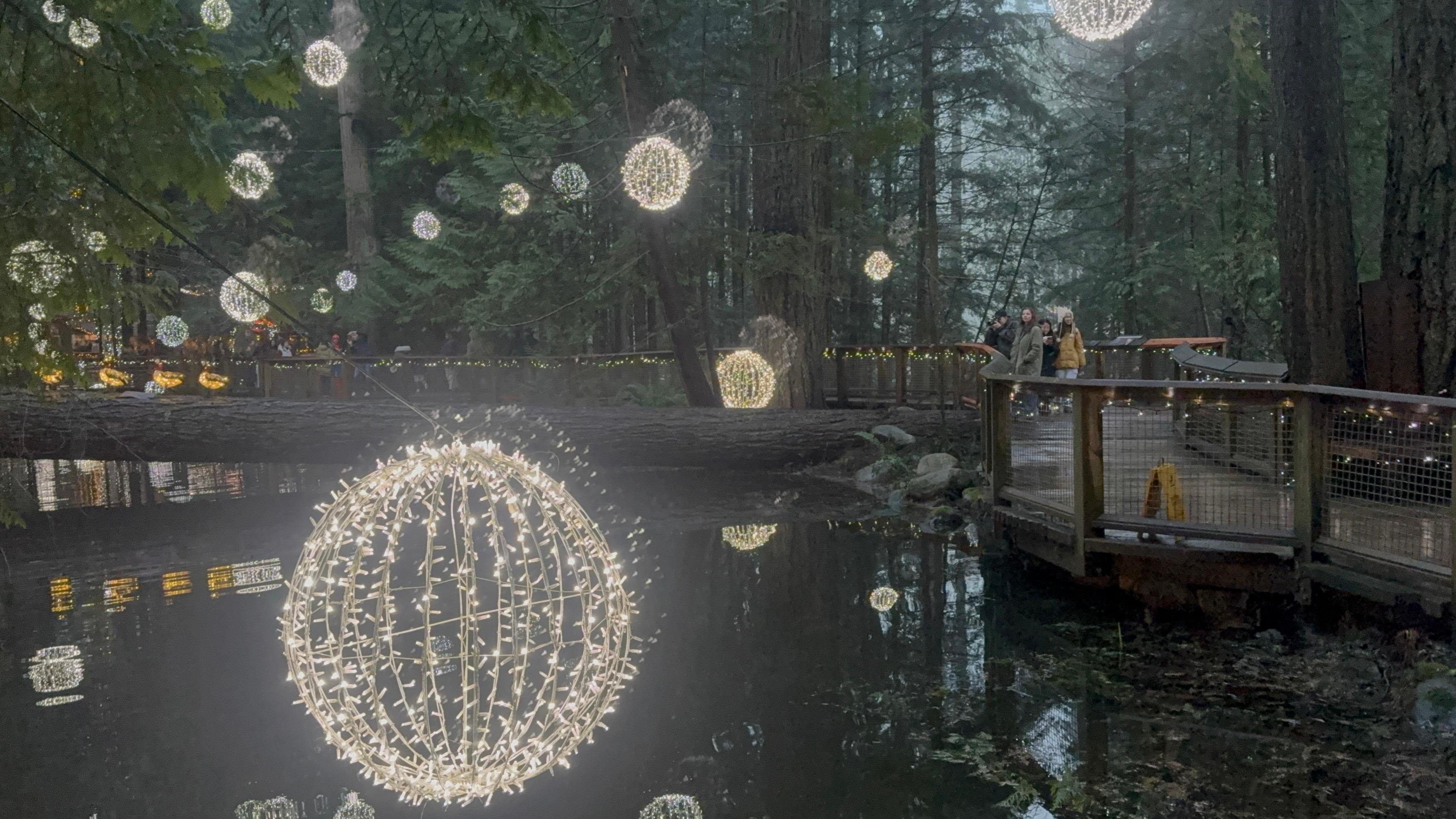 Capilano Suspension Bridge & Stanley Park Small Group Tour