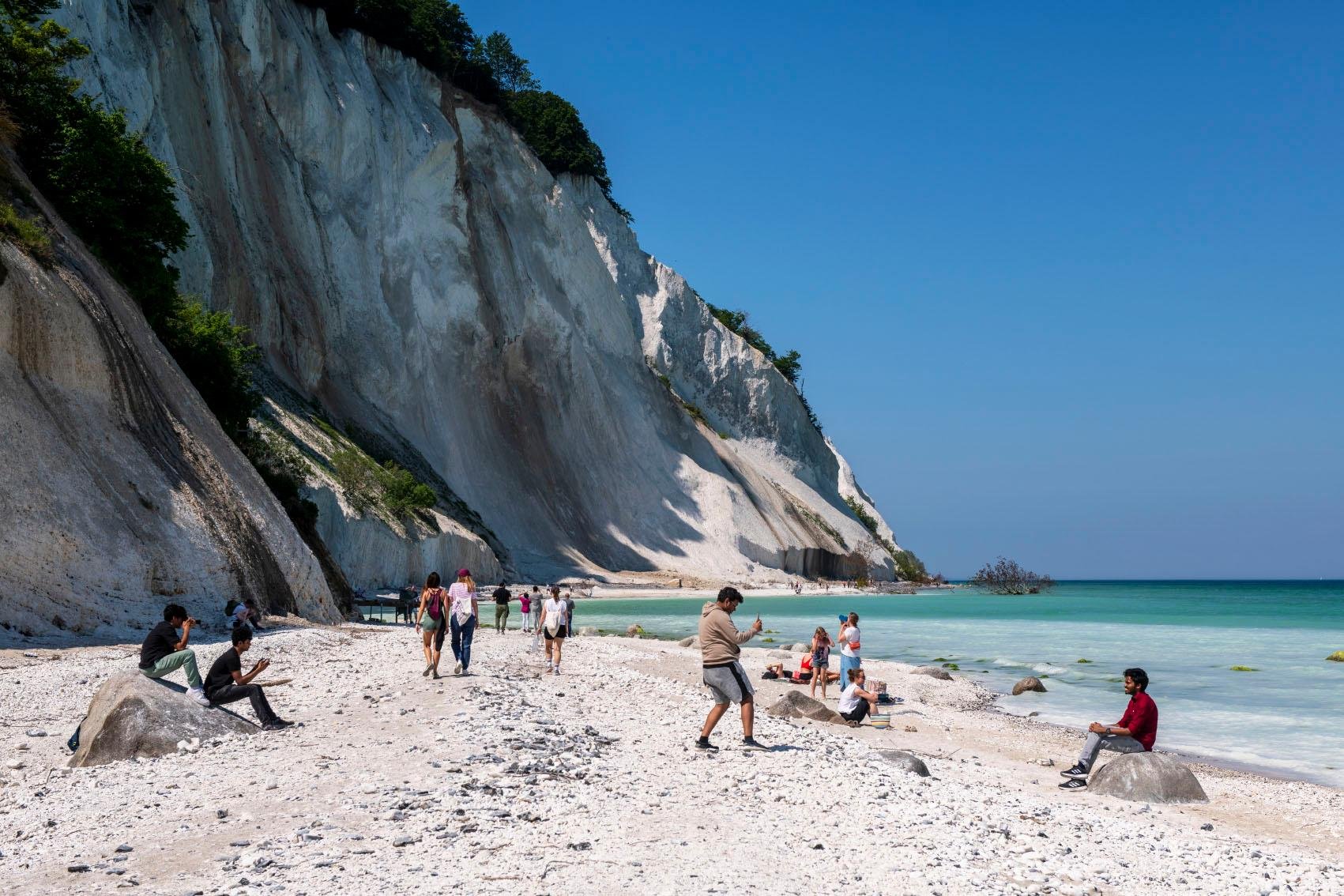 Møns Klint day trip from Copenhagen — image 5