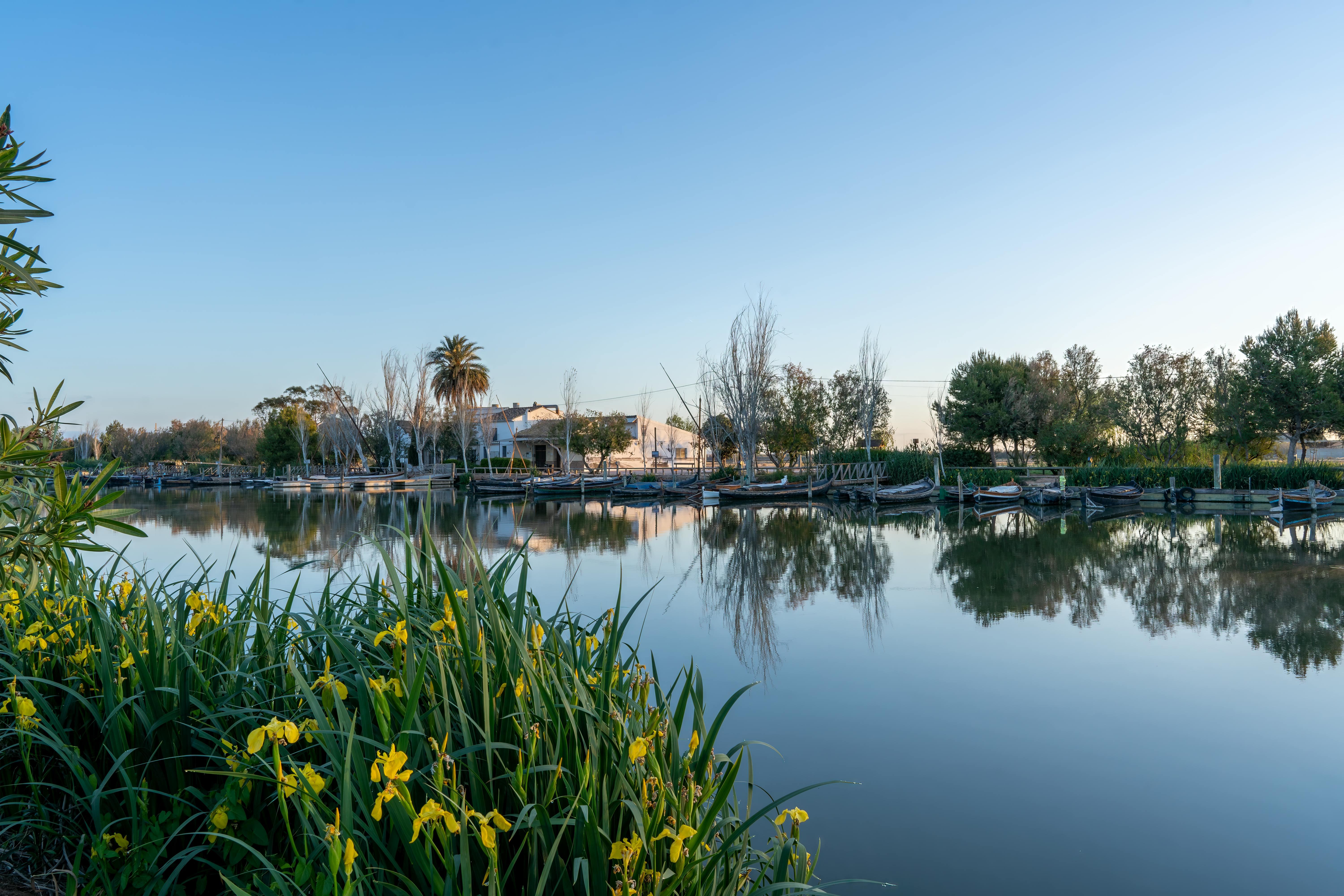 Albufera Natural Park Eco-Tour and Sunset Cruise from Valencia