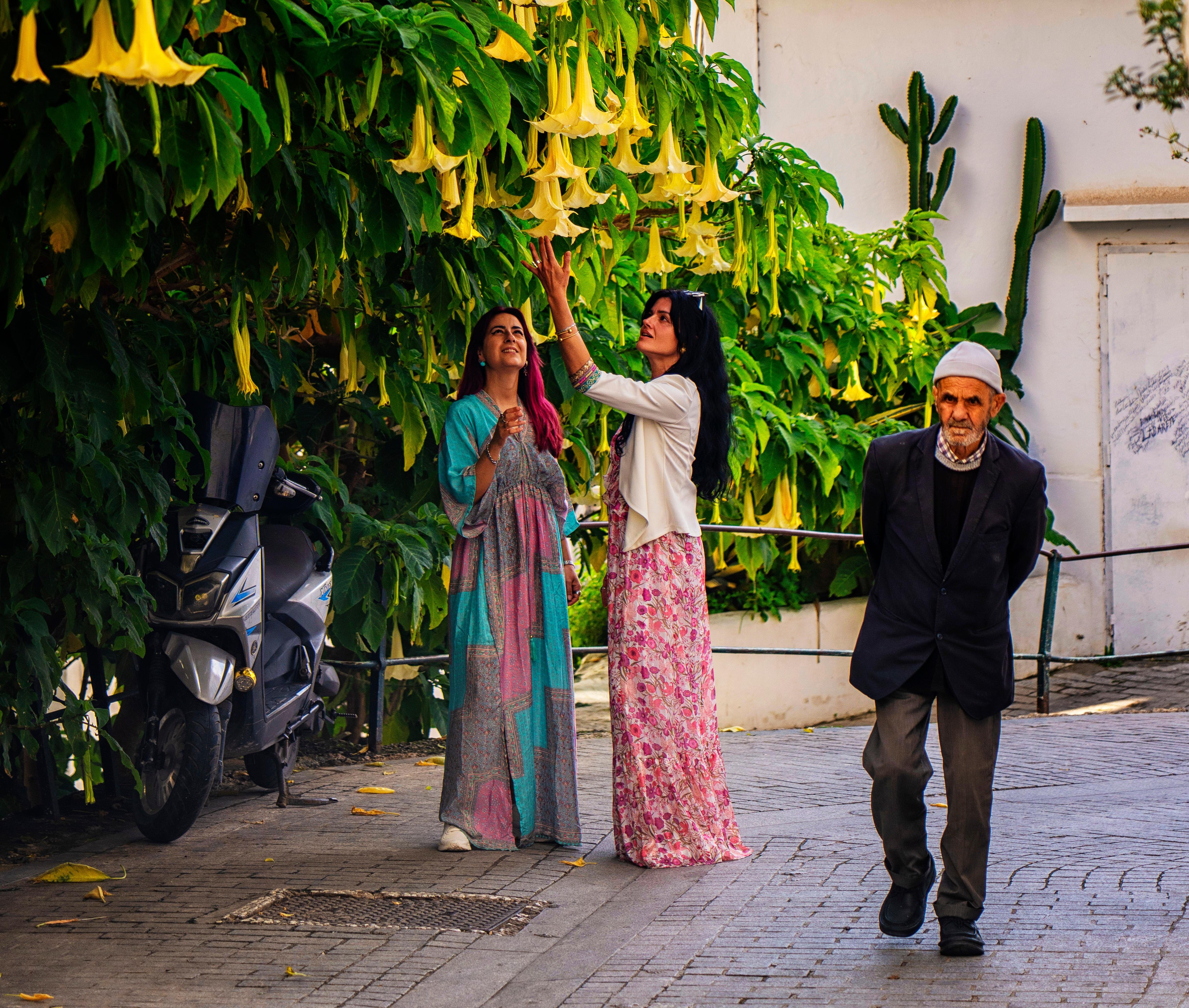 Tangier Private Day Trip from Tarifa by Fast Ferry
