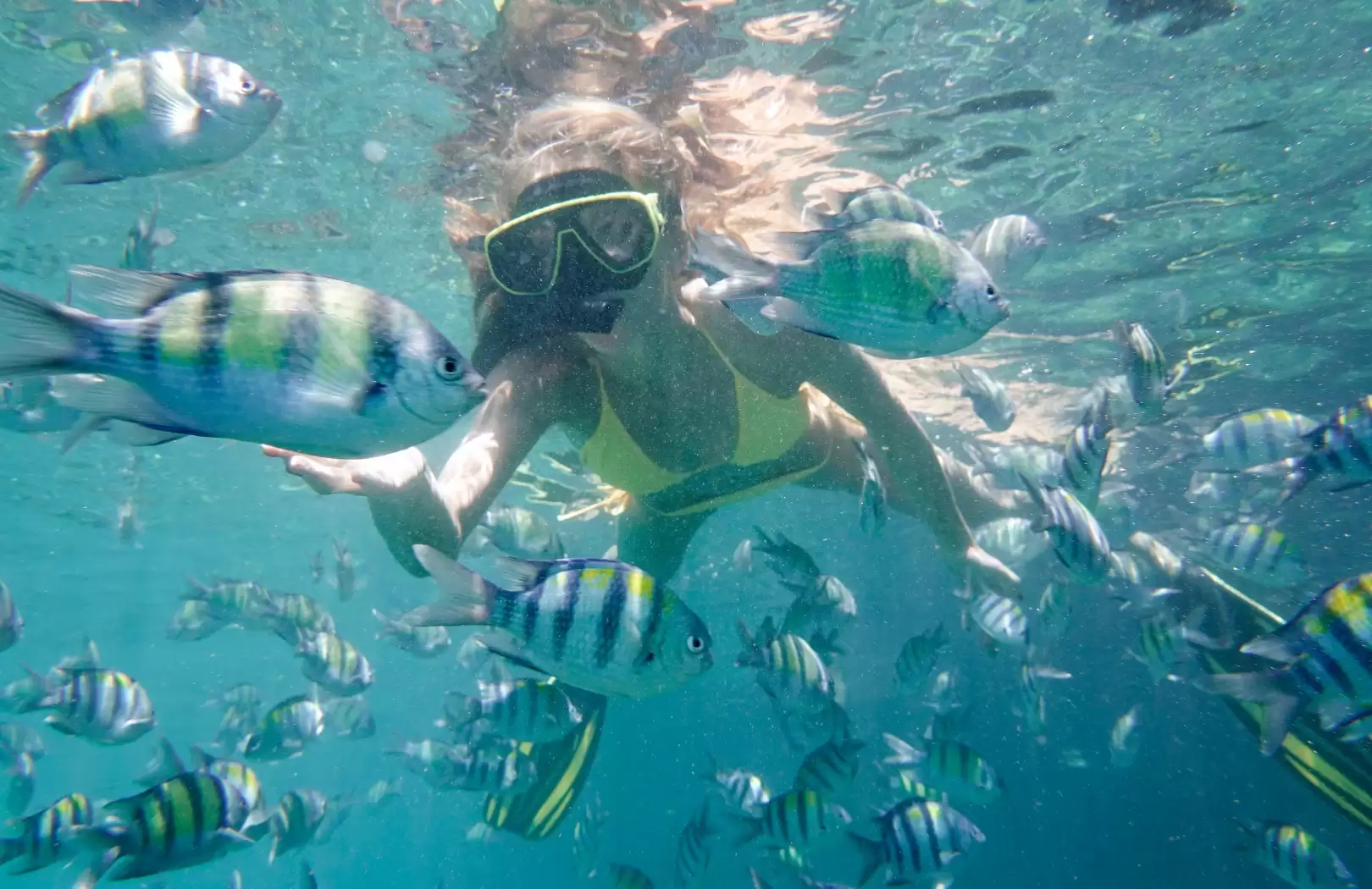 Tulamben Liberty Wreck Snorkeling & Kayak Adventure