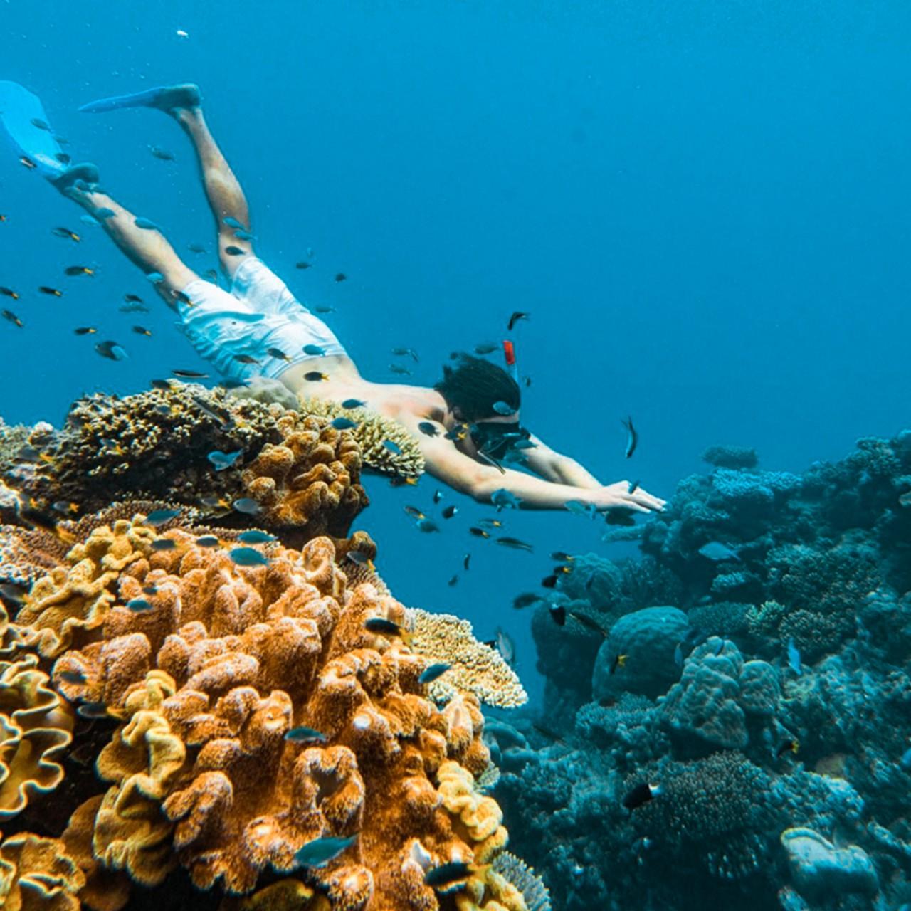 Similan Islands Luxury Catamaran Day Trip from Phuket & Khao Lak