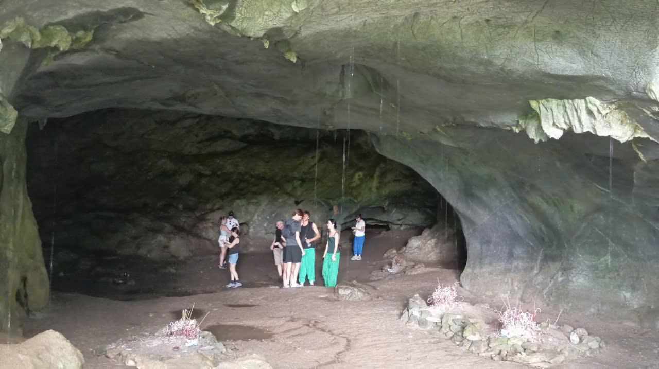Cuc Phuong National Park: Jungle Trek & Wildlife Day Trip from Ninh Binh