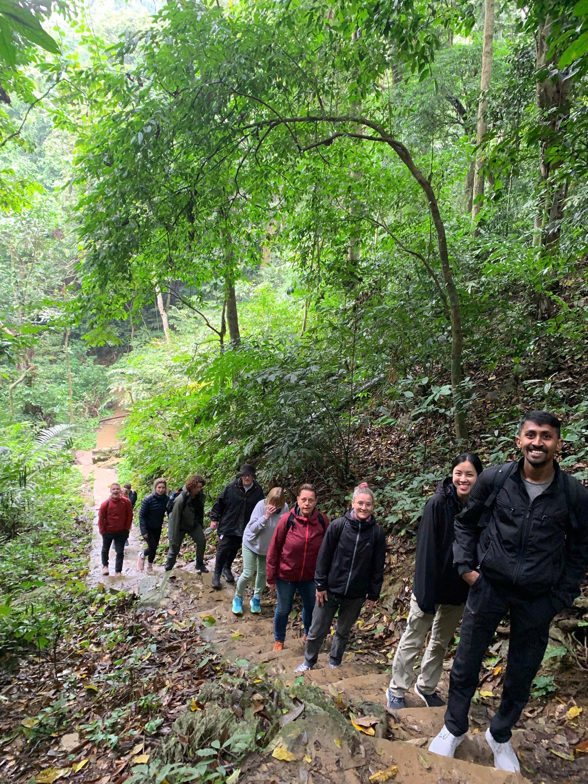 Cuc Phuong National Park: Jungle Trek & Wildlife Day Trip from Ninh Binh