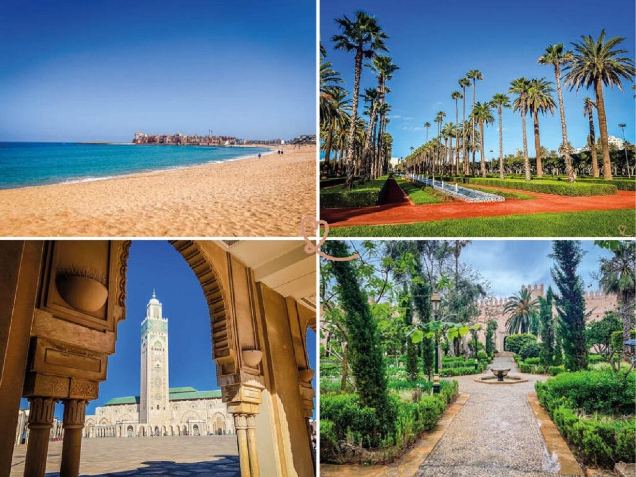 Full-Day Casablanca Cultural Tour from Marrakech