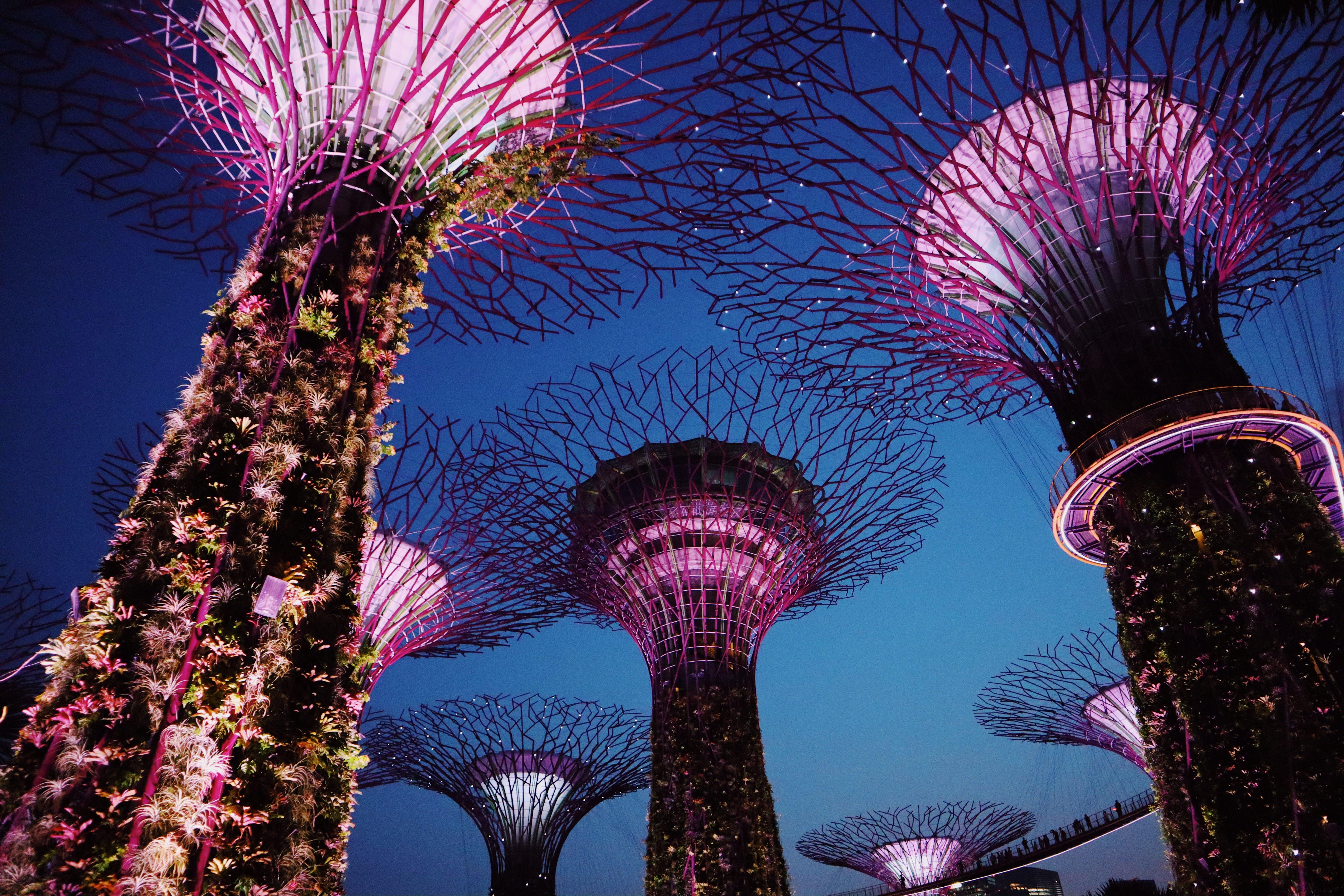 Private Walking Tour with Local Guide