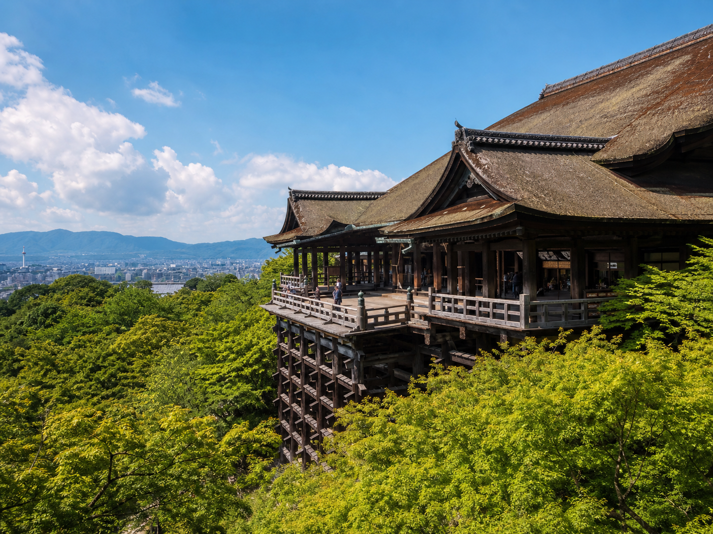 京都1日満喫ツアー：伏見稲荷・金閣寺・嵐山