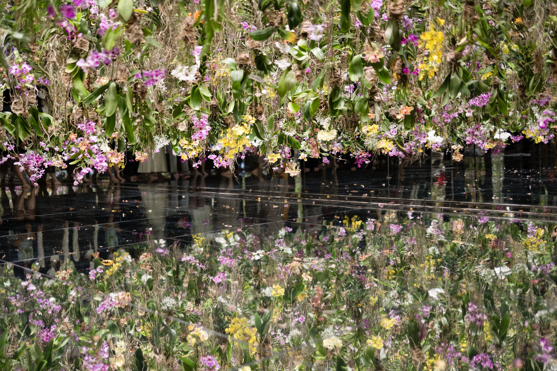 teamLab Planets TOKYO Digital Art Museum Entry