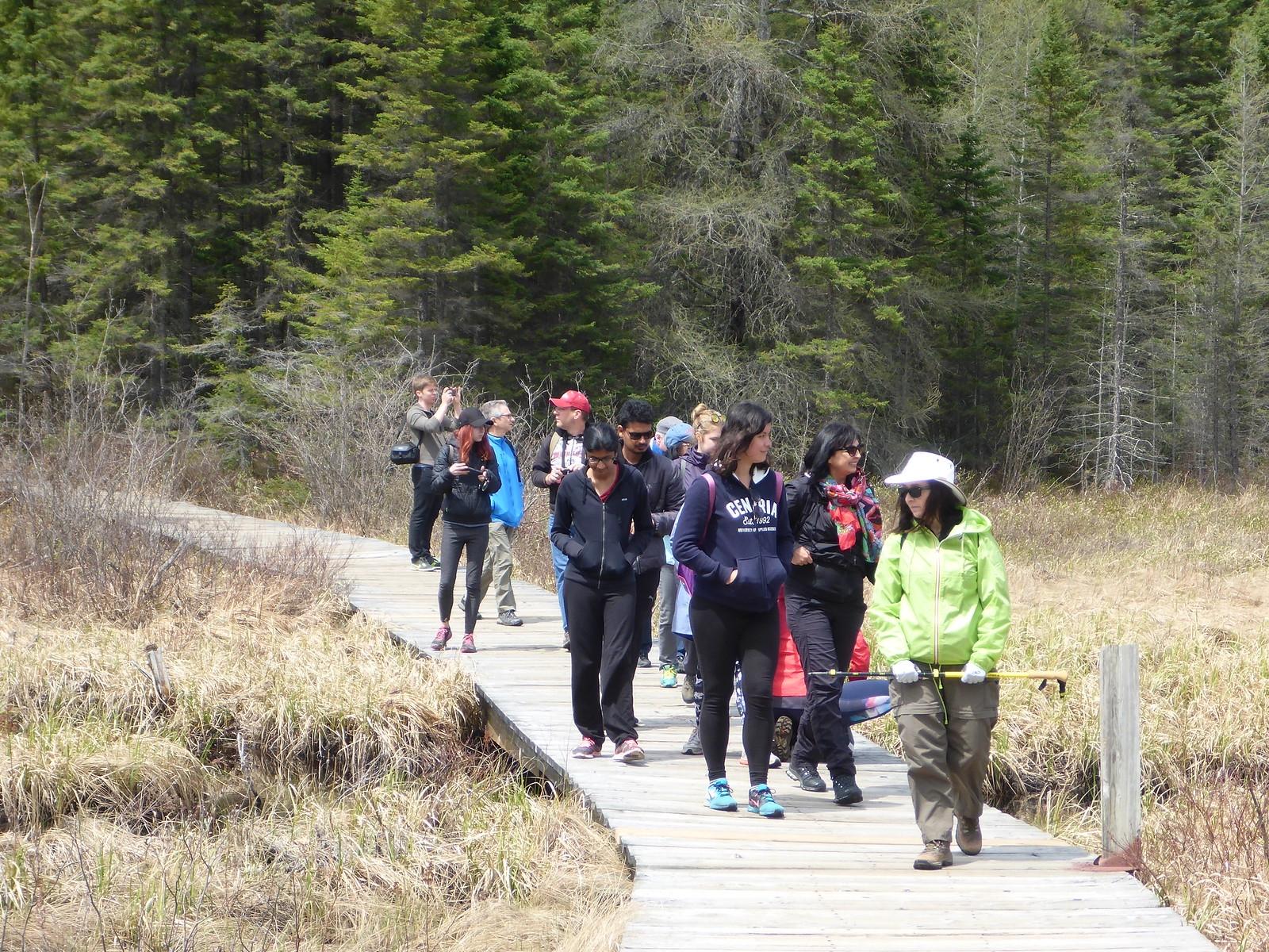 Algonquin Park canoe tour — Canoe Lake paddling and northern forest — image 10