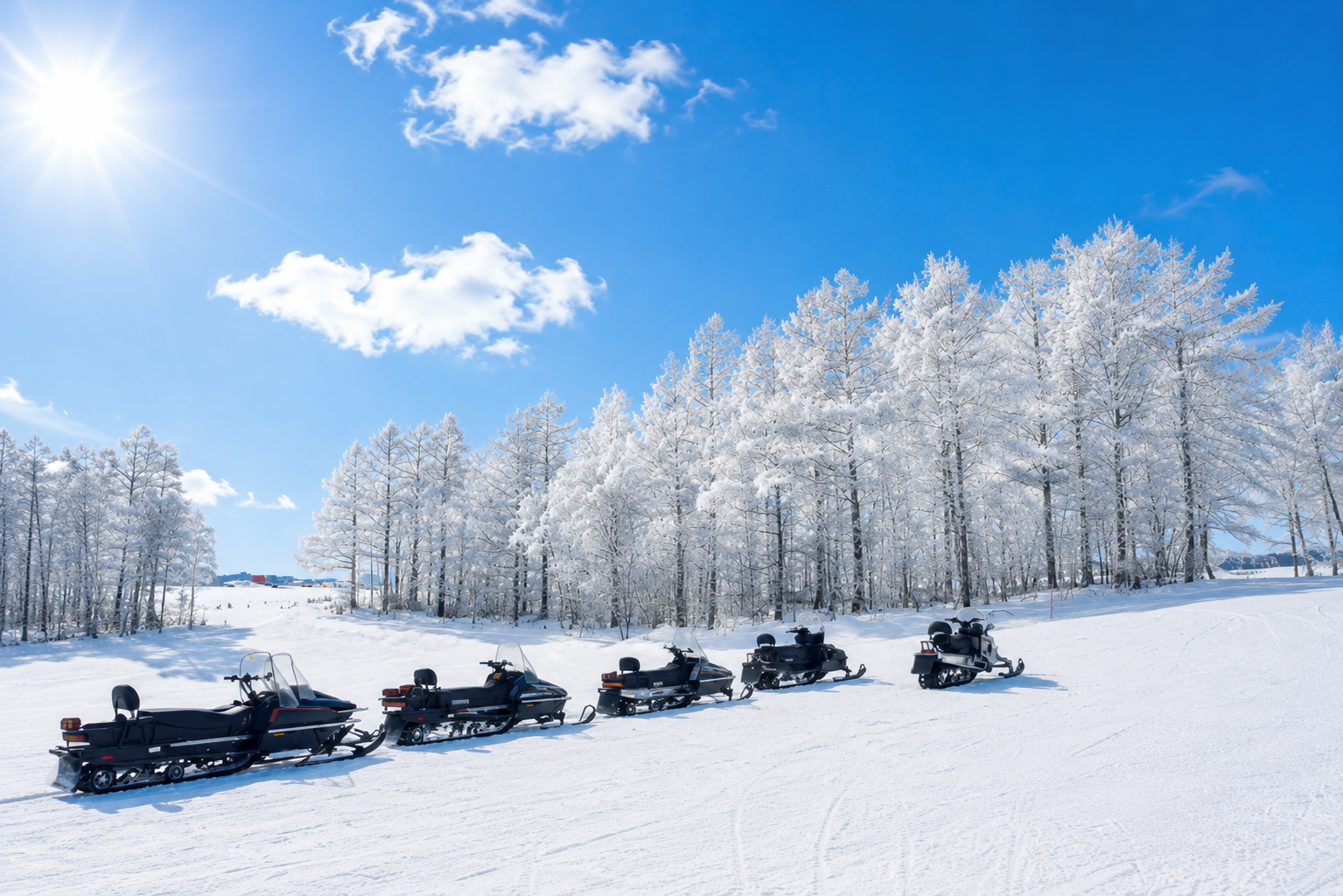 Hokkaido Winter Wonderland: Biei, Shirahige Falls & Ningle Terrace Day Trip