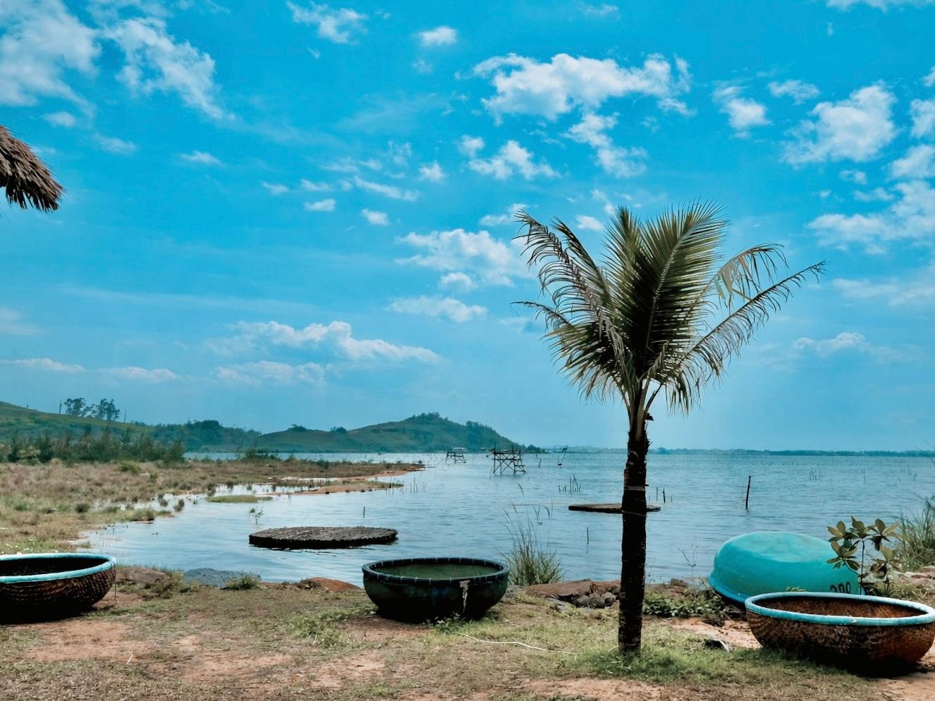 Hue Imperial City & Hai Van Pass Full-Day Tour