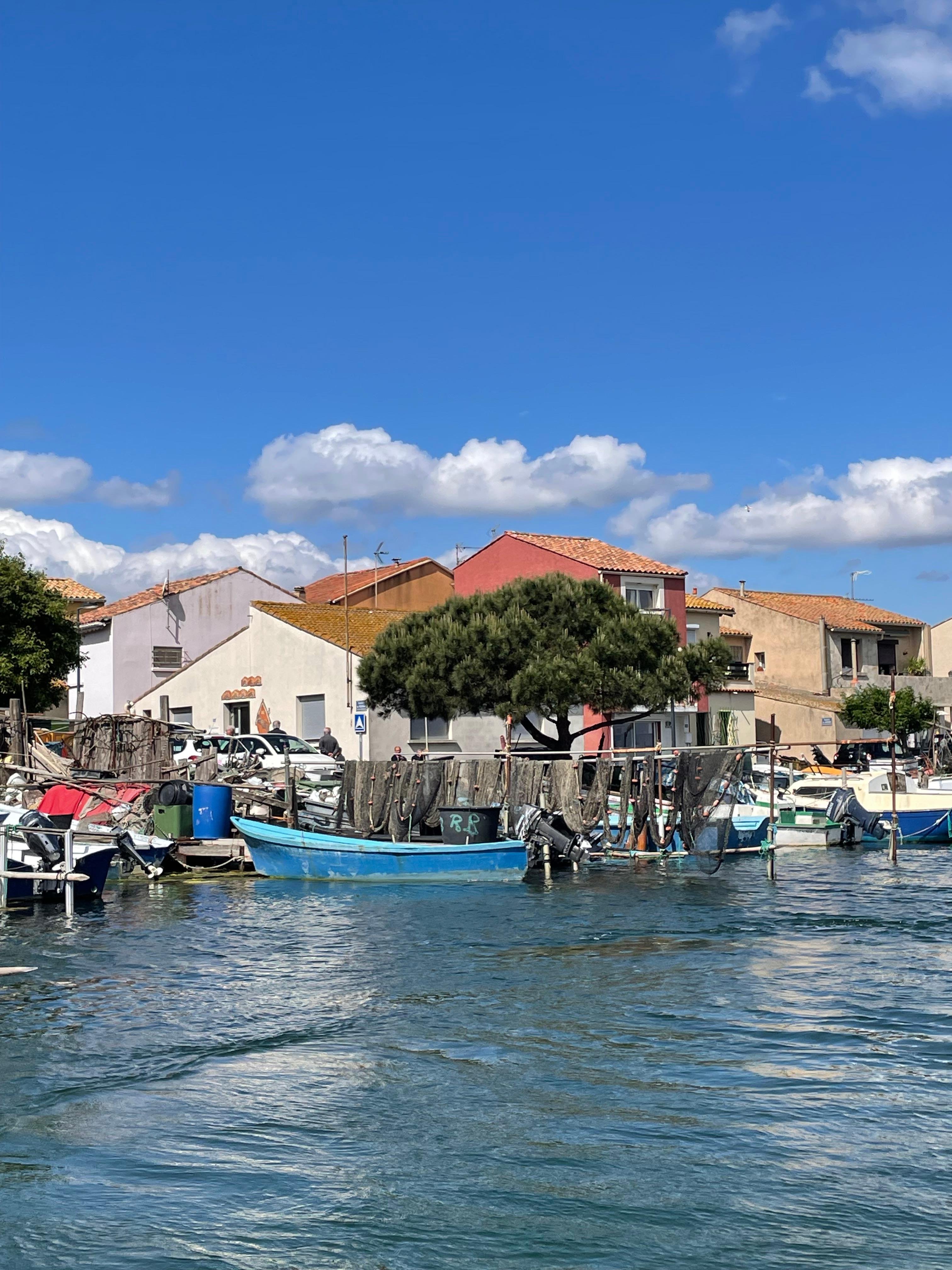 oyster tasting in Montpellier — Montpellier : half-day trip walking tour in Sète and oysters - 2026 (Verified Reviews)