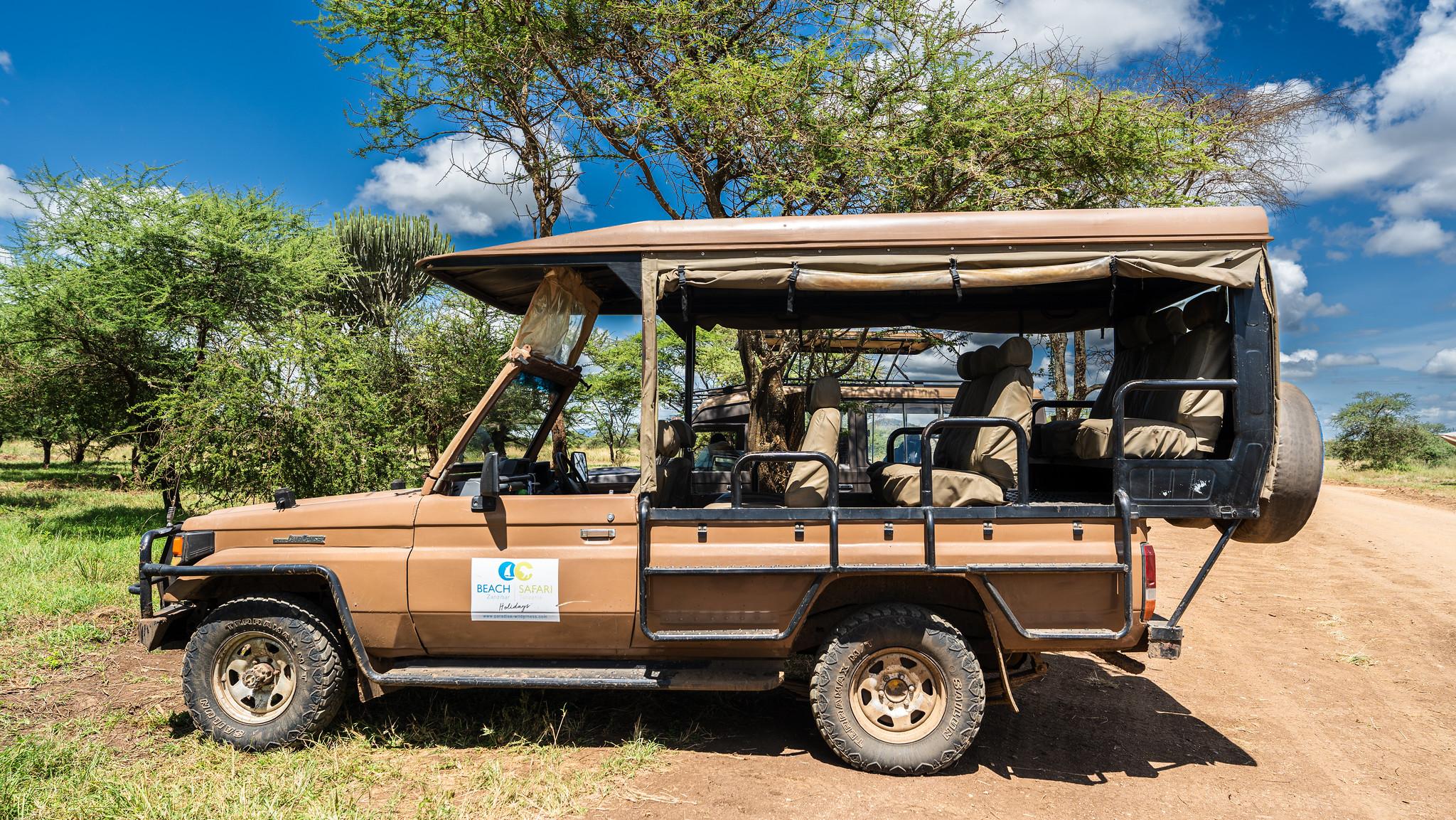 Zanzibar to Selous: 2-Day Safari with Flights & Bush Lunch