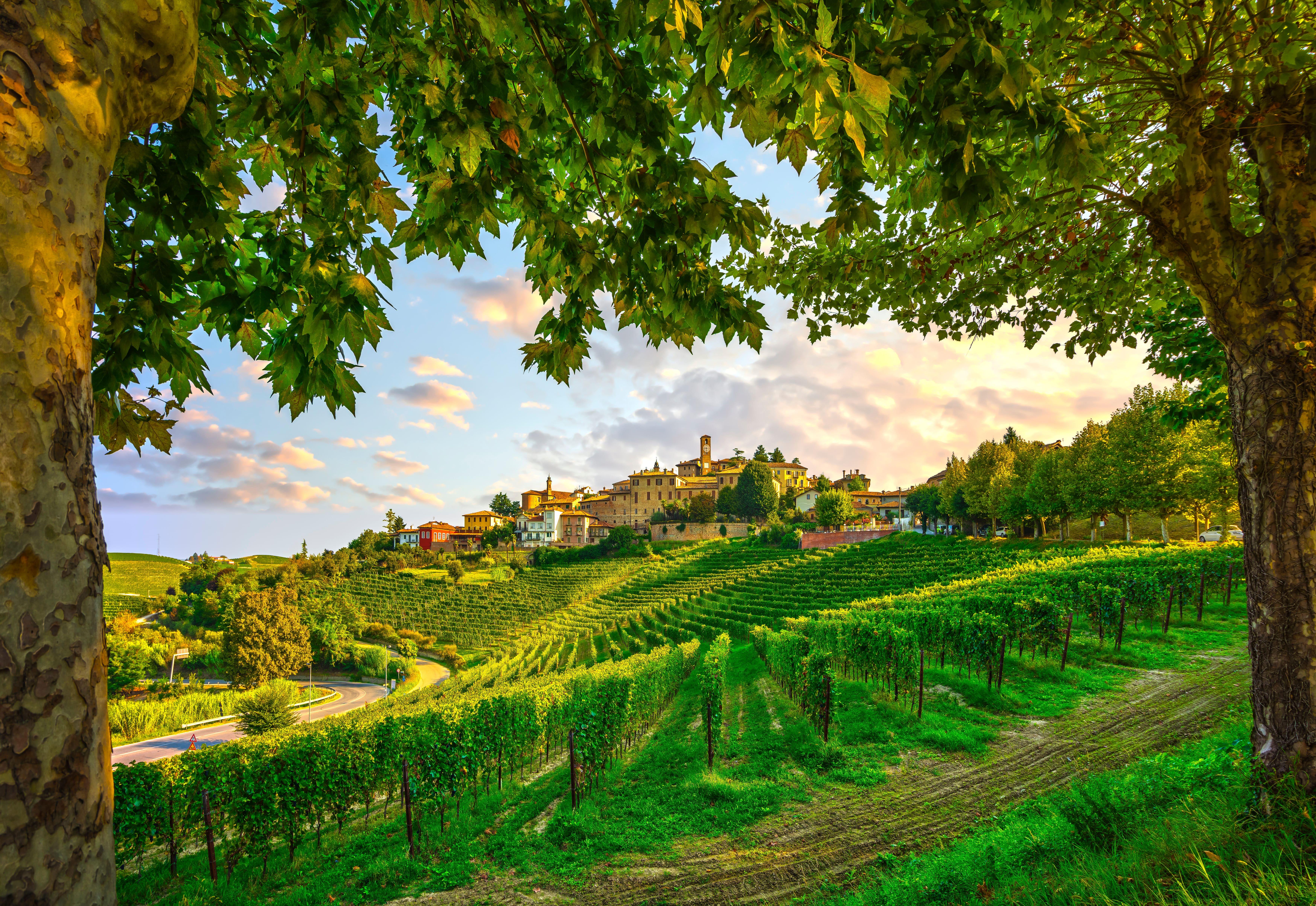 wine tour in Barolo — photo 10