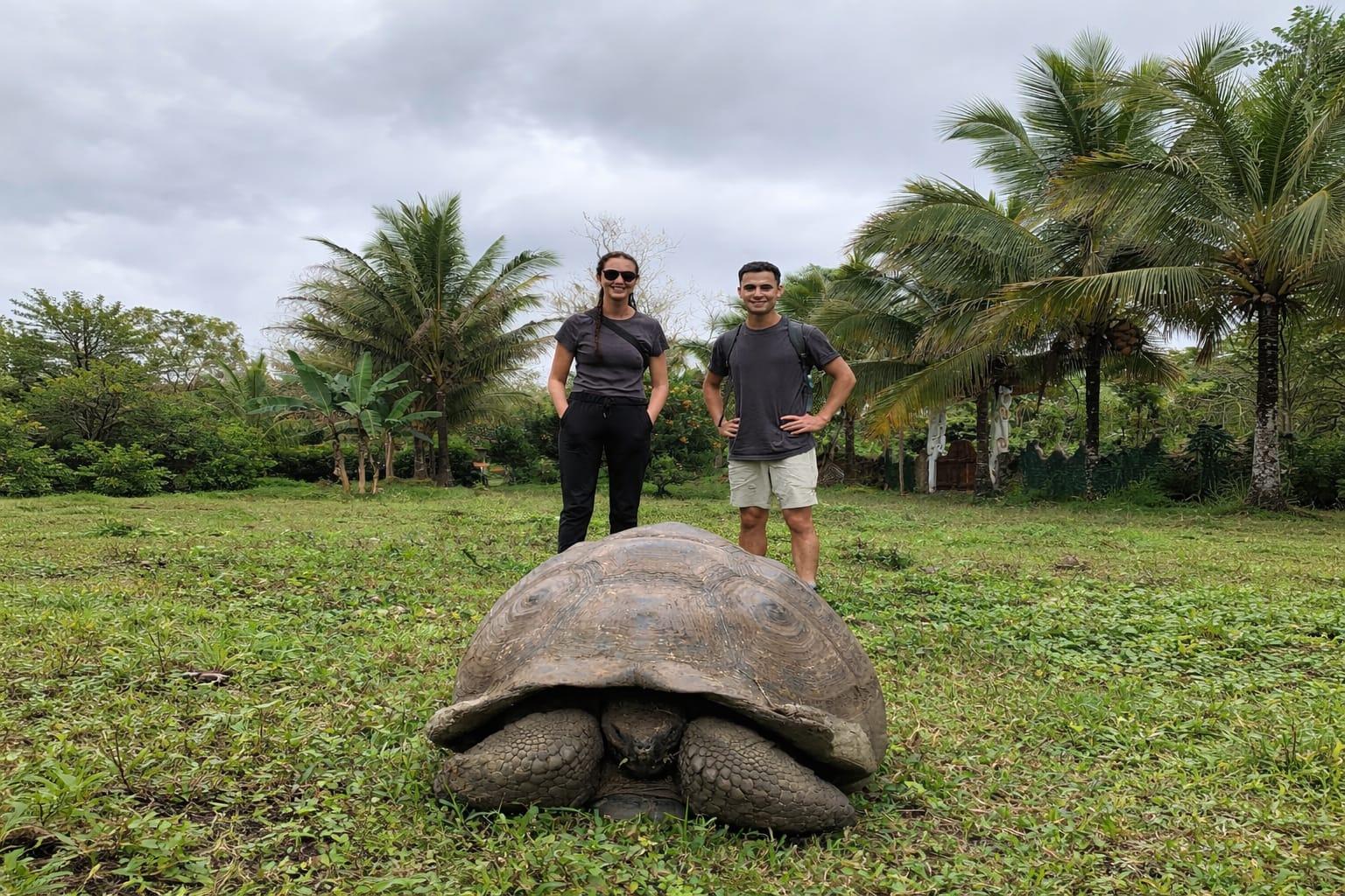 Santa Cruz Giant Tortoises & Lava Tunnels Exploration