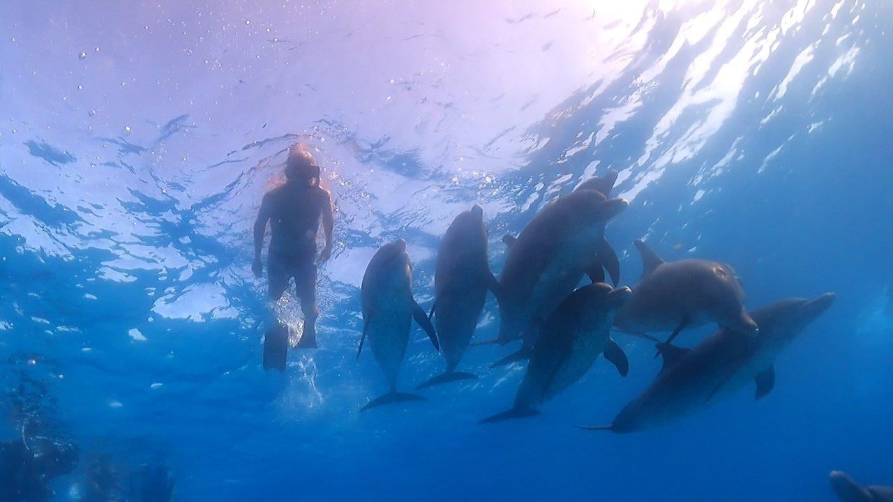 Bimini Private Boat Charter with Professional Photographer
