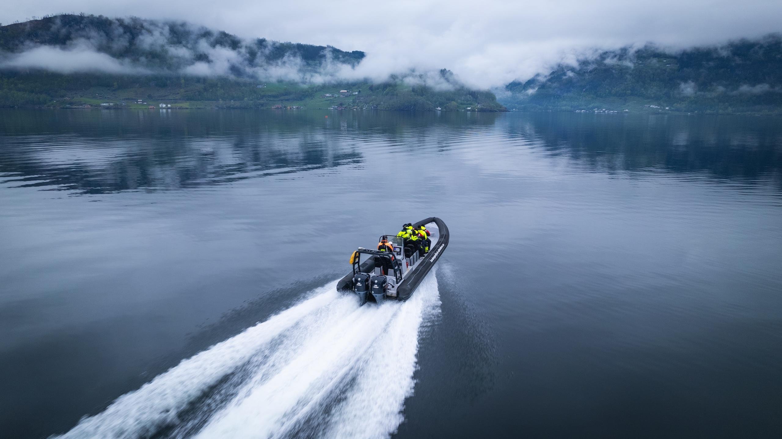 From Norheimsund: All-Year Hardangerfjord RIB Safari - 2026 (Verified Reviews)