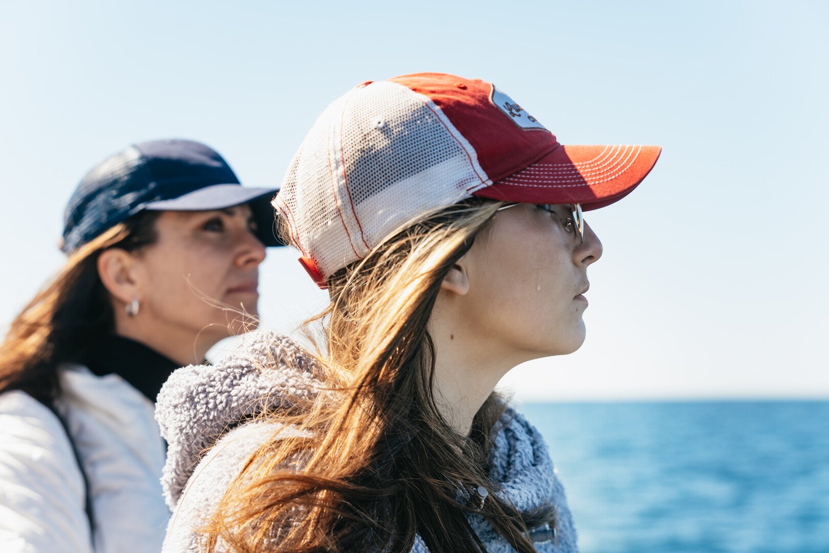 Monterey Bay whale watching tour — whales and marine wildlife — image 12