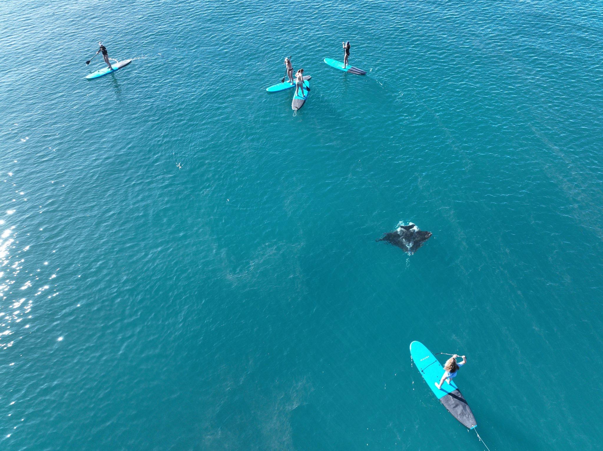 Whitsundays Luxury Catamaran Sail, Snorkel & SUP Day Tour