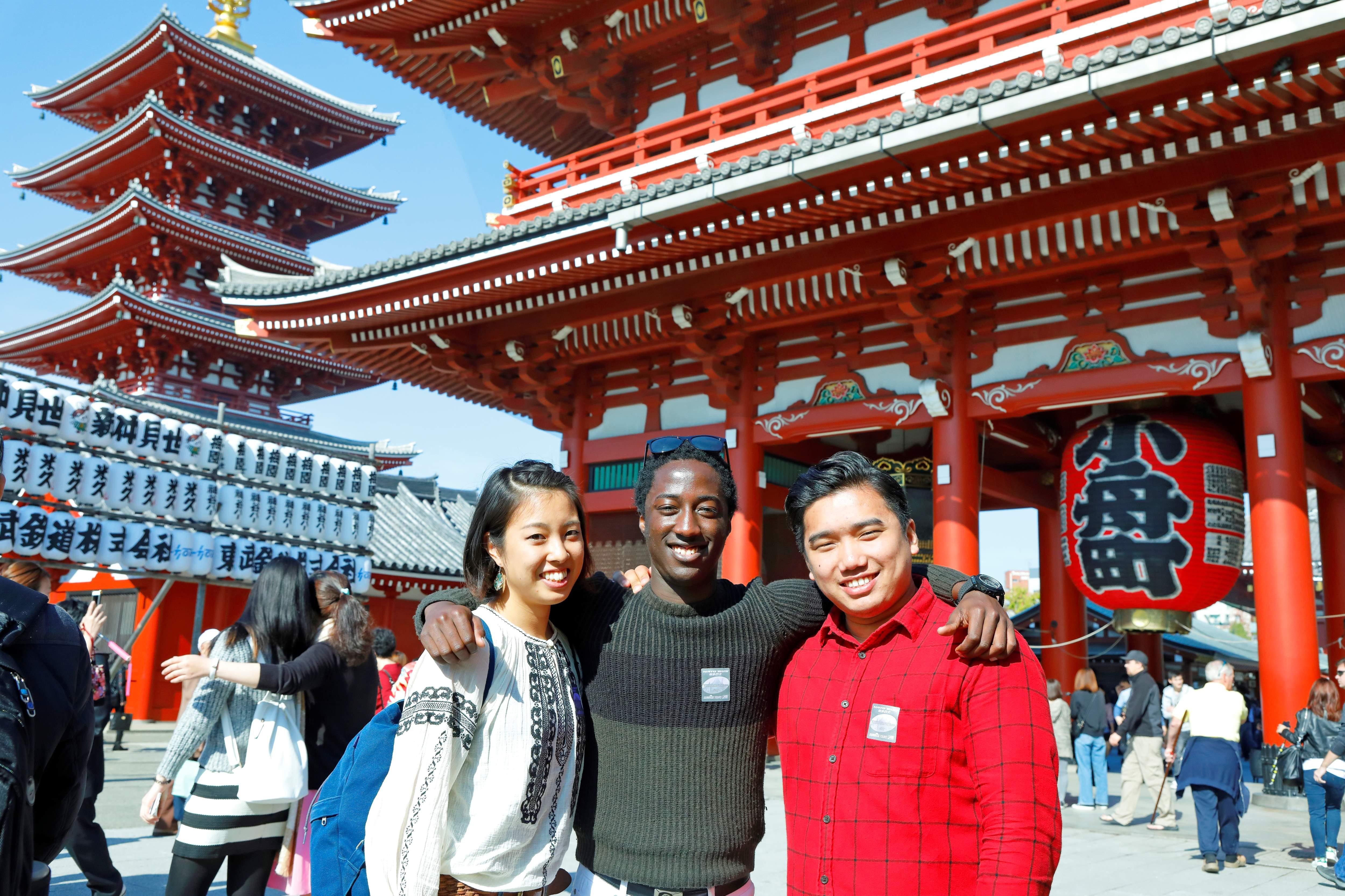Dynamic Tokyo Full-Day Tour: Tea Ceremony, Buffet Lunch & Bay Cruise