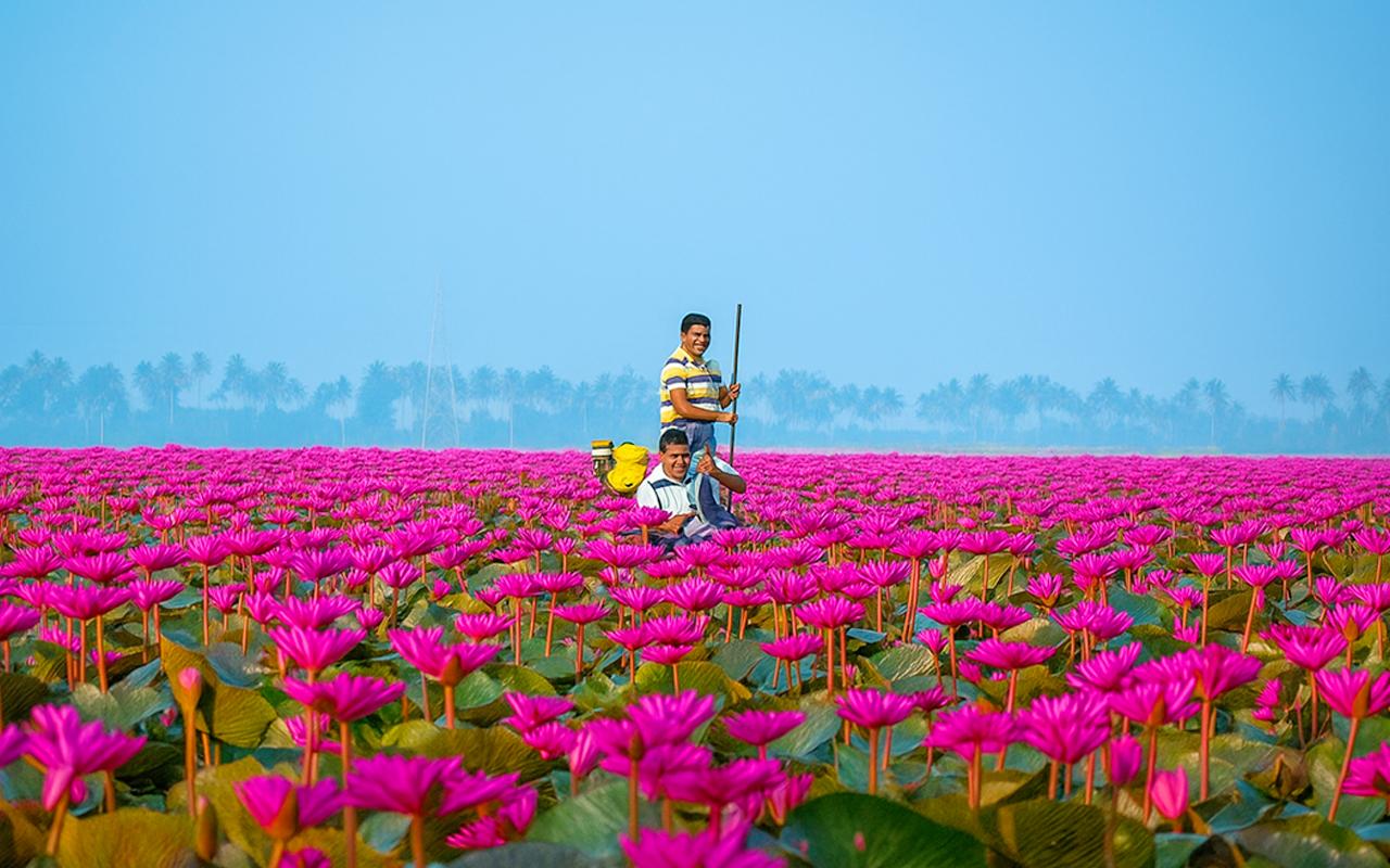 Malarikkal Backwater Sunrise Excursion from Kochi