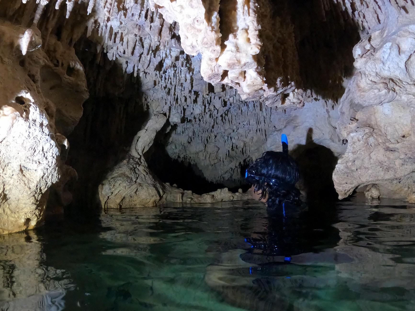 Tulum Casa Tortuga: Guided Tour of 4 Cenotes with Free Swim Time