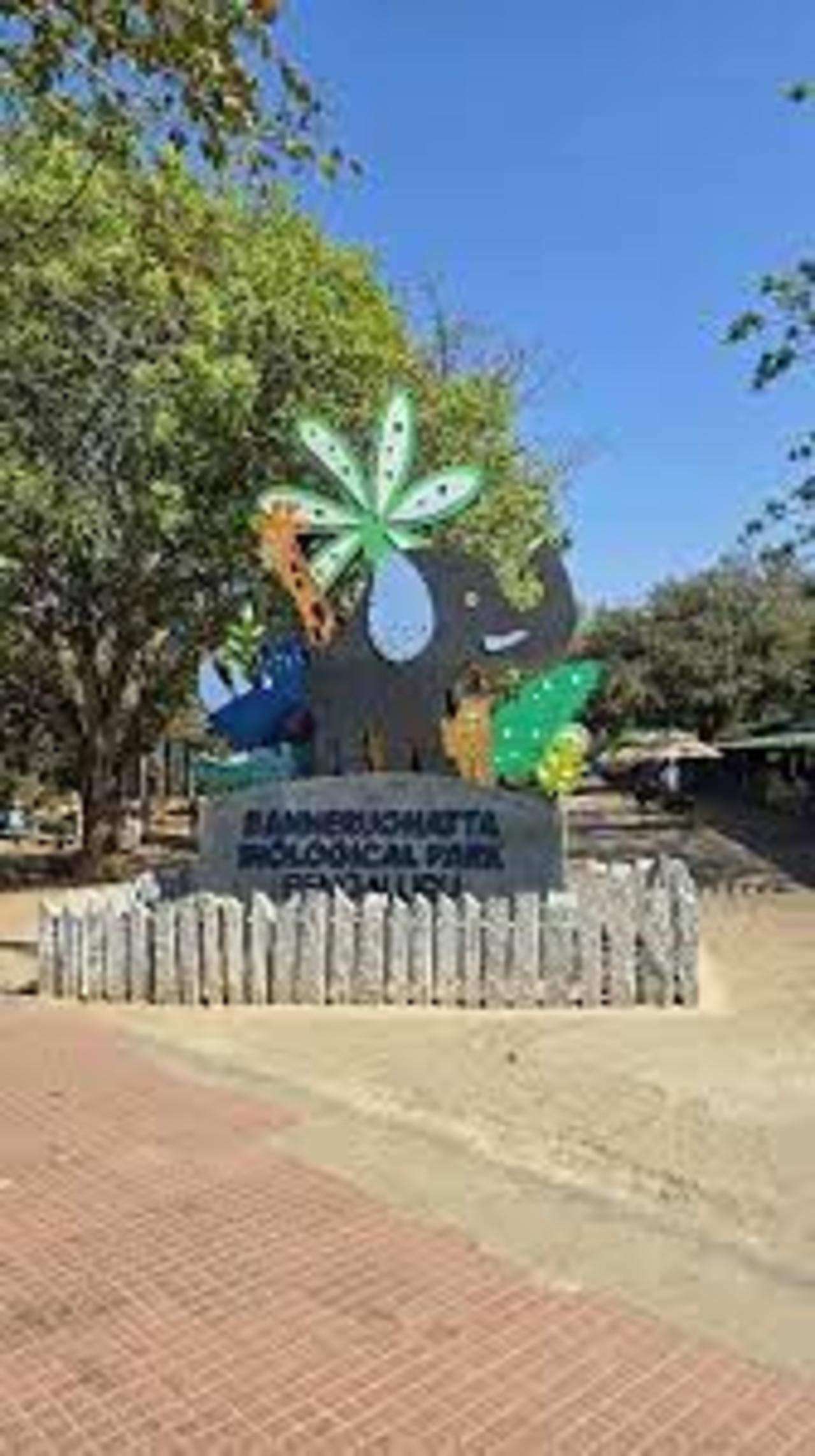 Bannerghatta Wildlife & Bangalore Heritage Private Tour