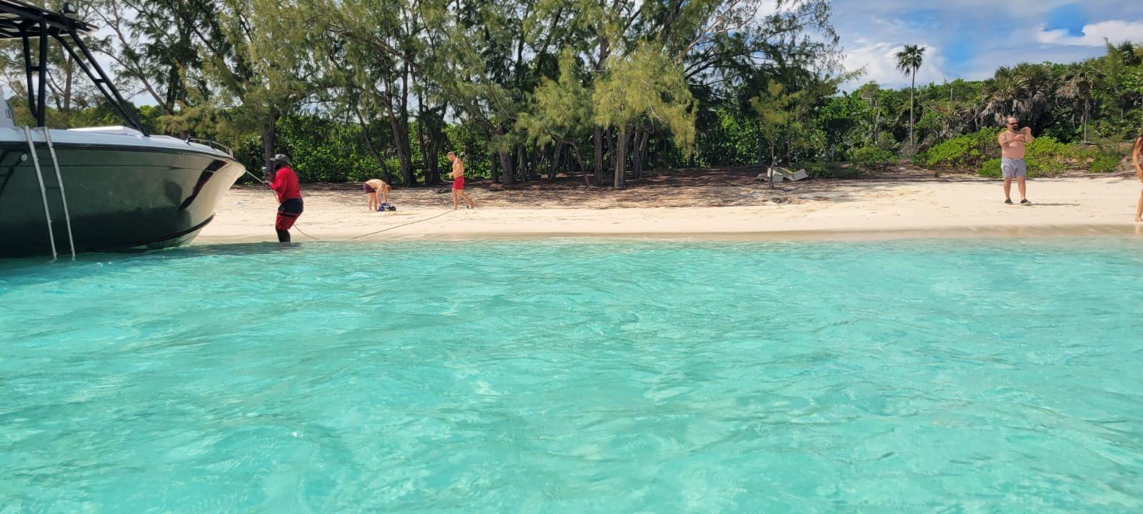 Nassau 3-Island Speedboat Adventure: Pigs, Turtles & Snorkeling