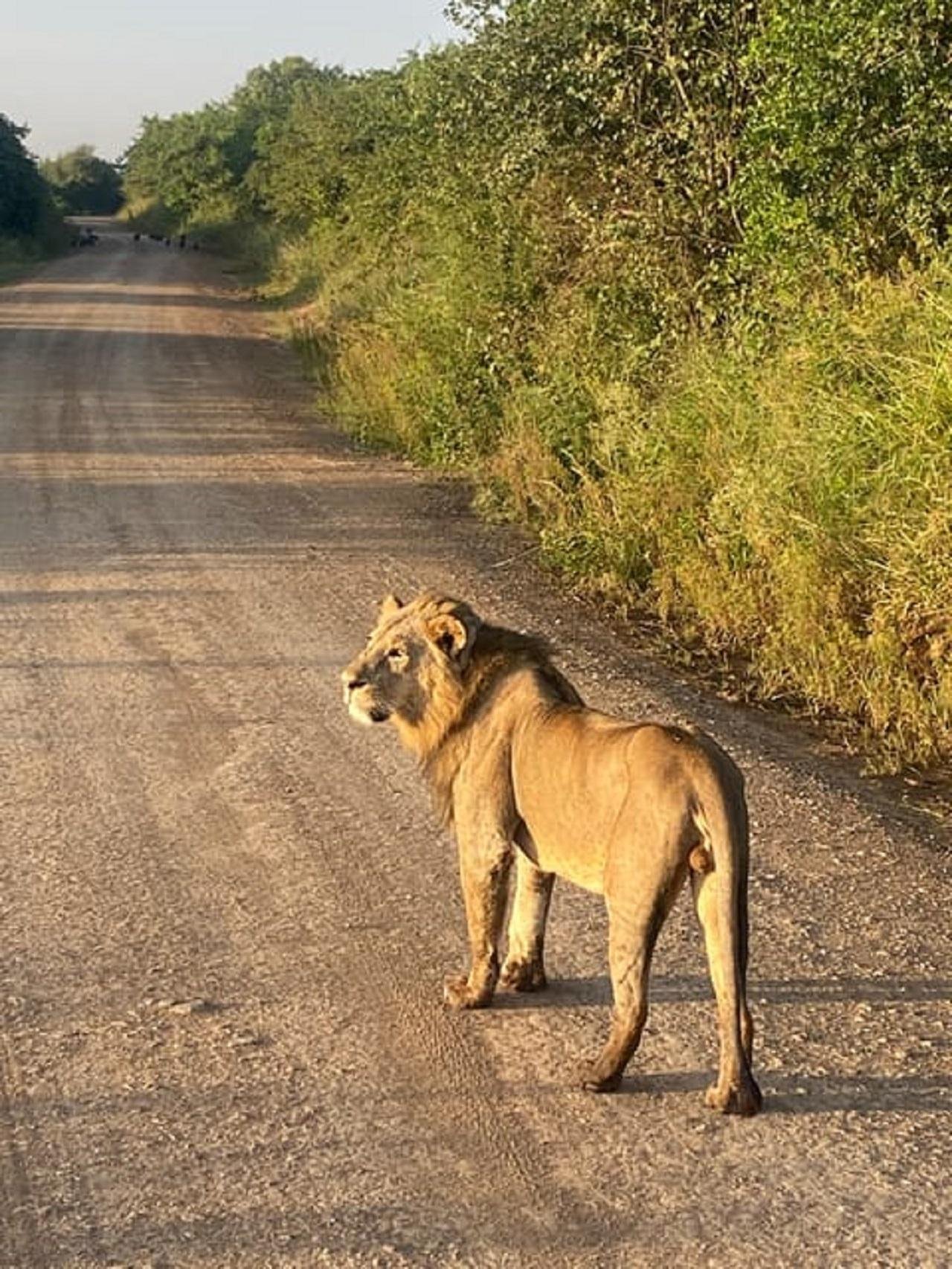 Nairobi Wildlife & History Day Tour