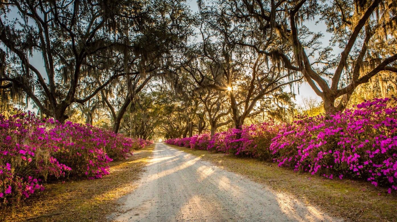 Savannah Georgia — tour experience image 2