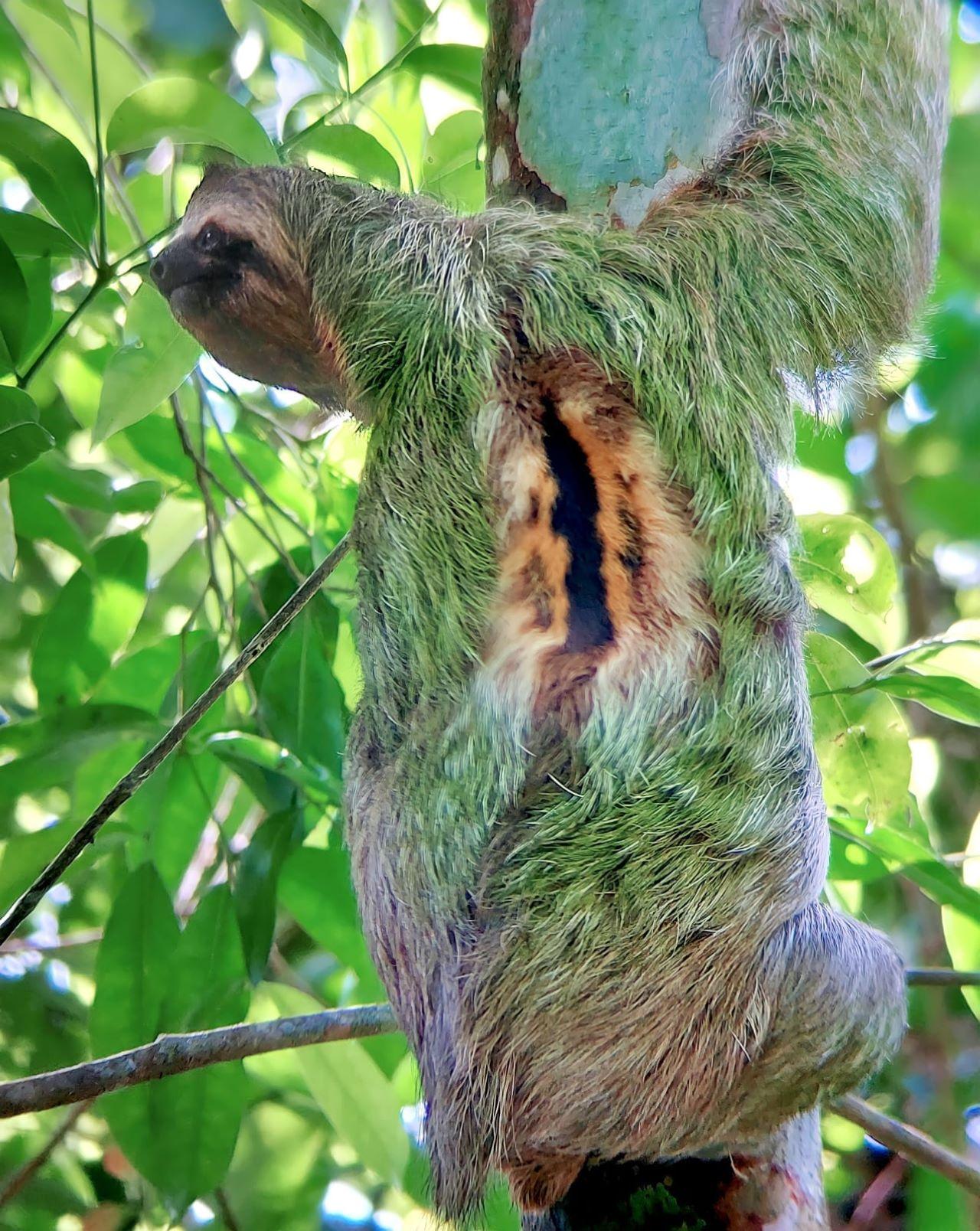 Manuel Antonio National Park: Expert-Guided Wildlife Hike