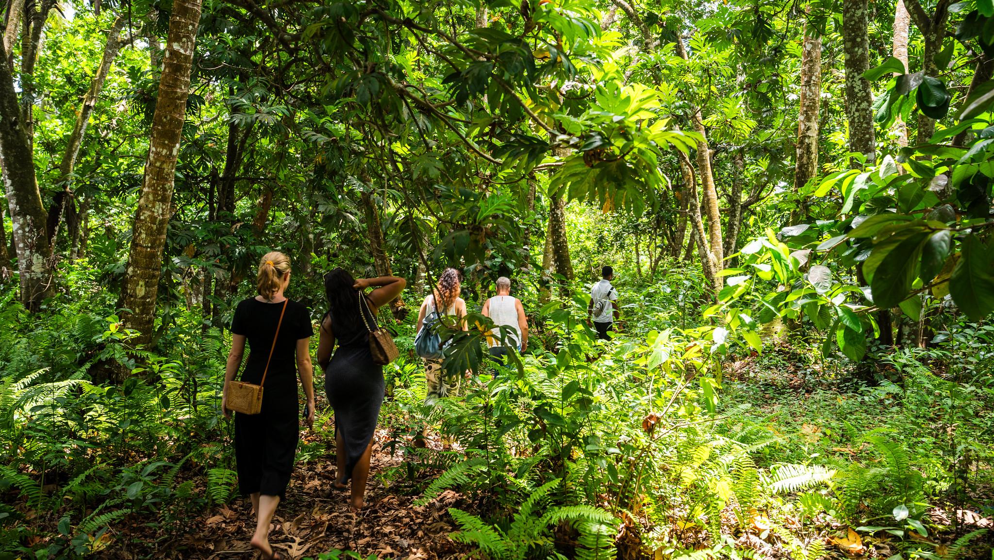 Zanzibar Hidden Gems: Secret Beach, Kuza Cave & Jozani Forest