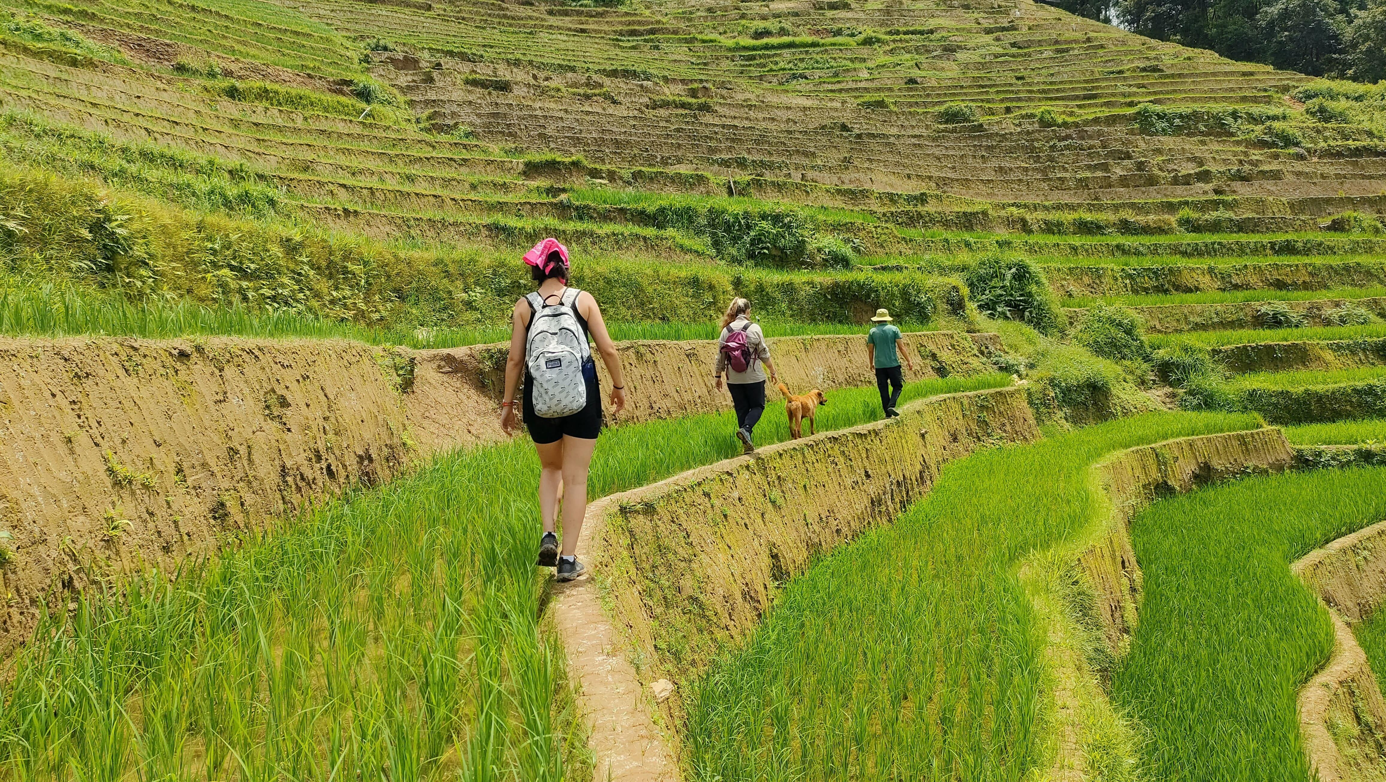 Mù Cang Chải Private Trek & Motorbike Adventure