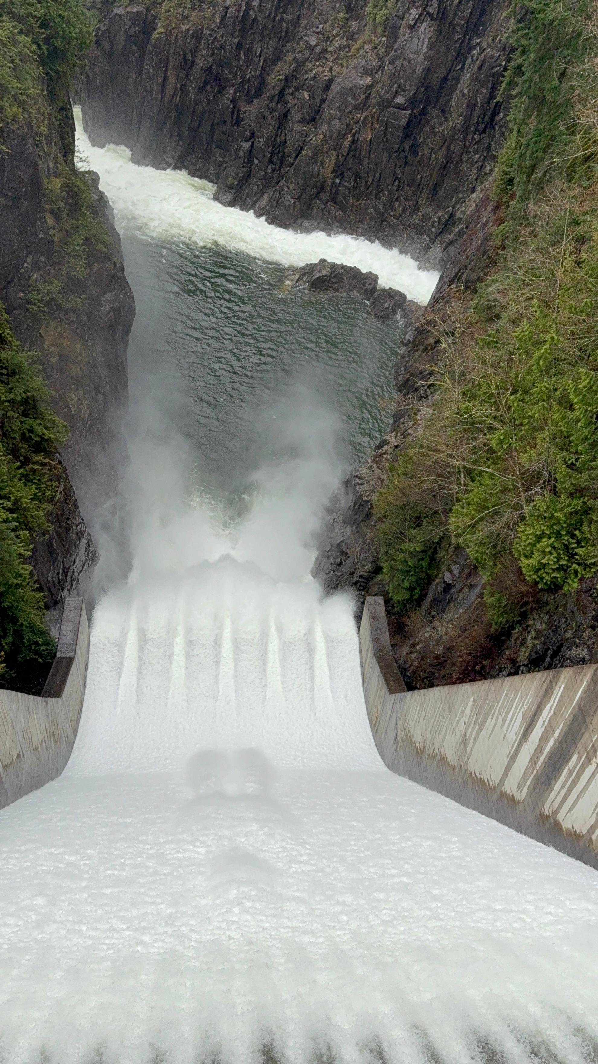 5-in-1 Vancouver Highlights: Grouse Mountain & Capilano Bridge Private Car Tour