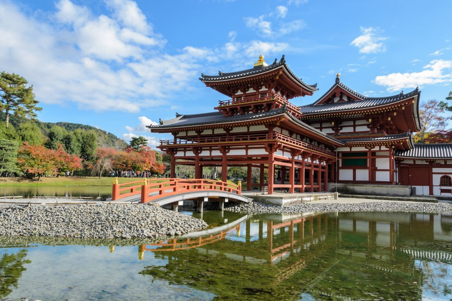 Uji & Fushimi Small-Group Day Tour: Matcha, Sake & Shrines