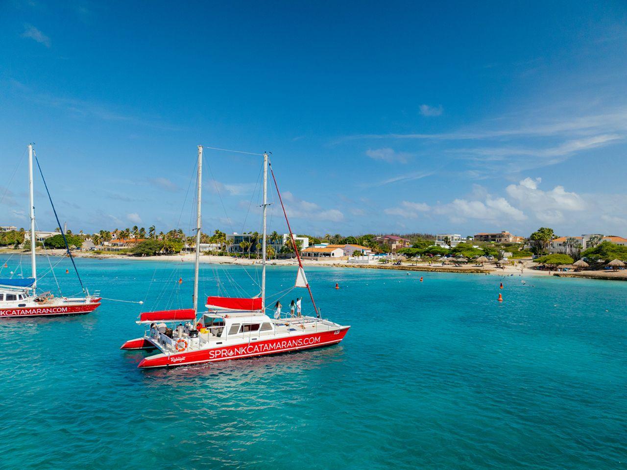 Aruba Catamaran: Shipwreck Snorkel, Turtle Encounter & Beach BBQ