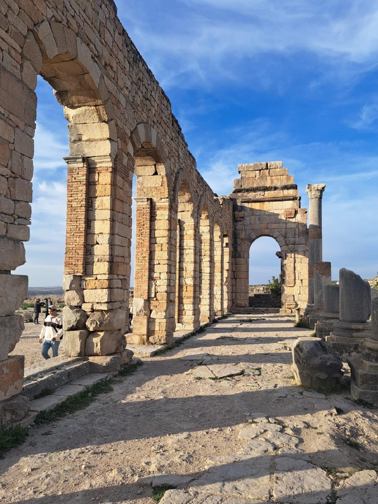 Fes to Chefchaouen Transfer: Volubilis & Scenic Stops