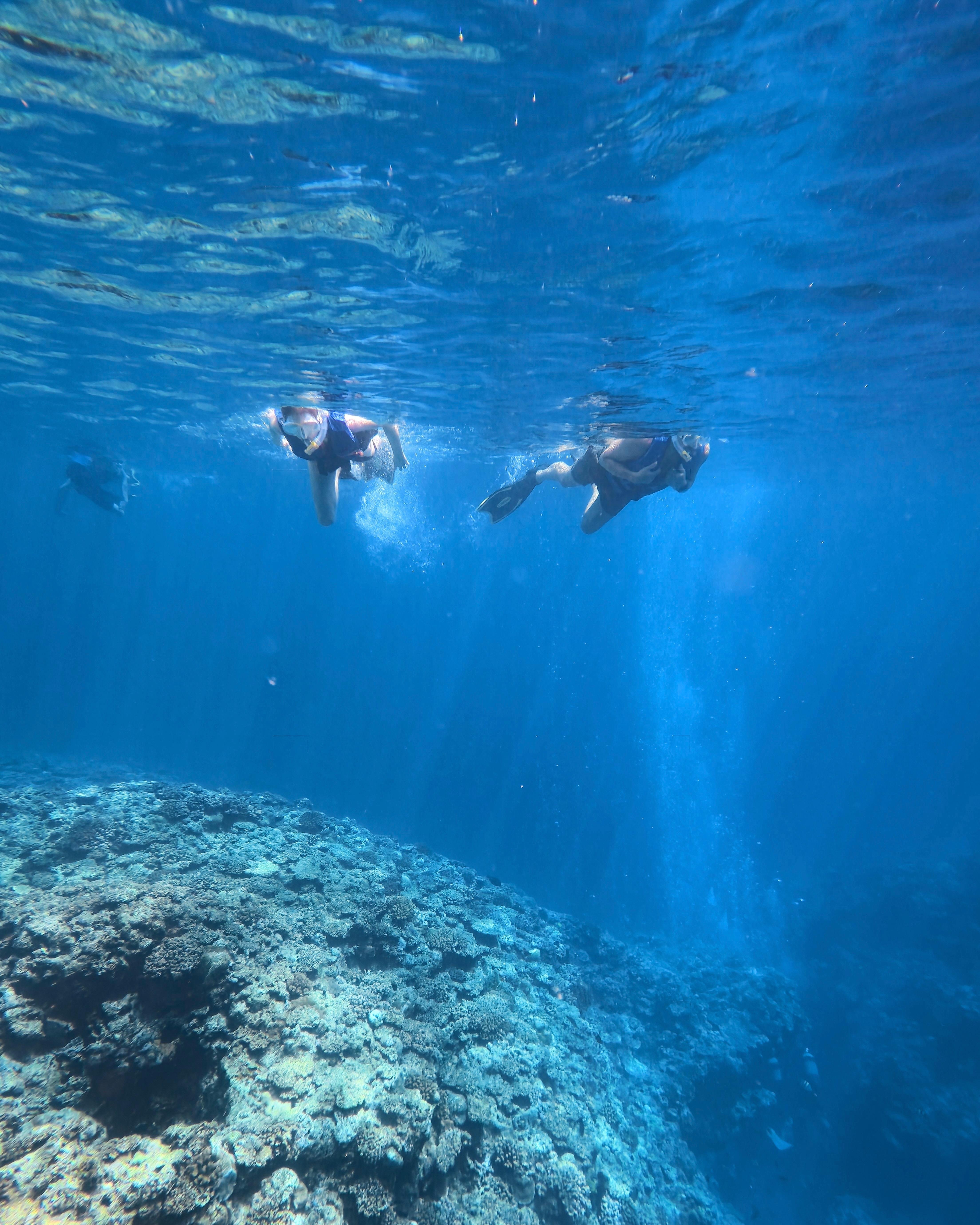 Blue Cave Okinawa snorkelling at Cape Maeda, Onna Village — image 18