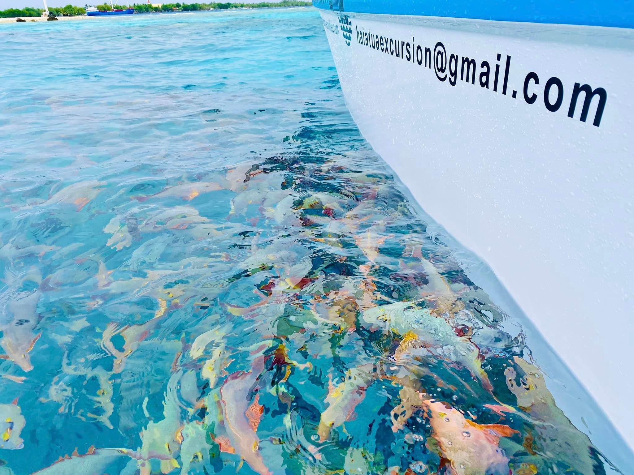 Blue Lagoon & Tiputa Pass Full-Day Adventure