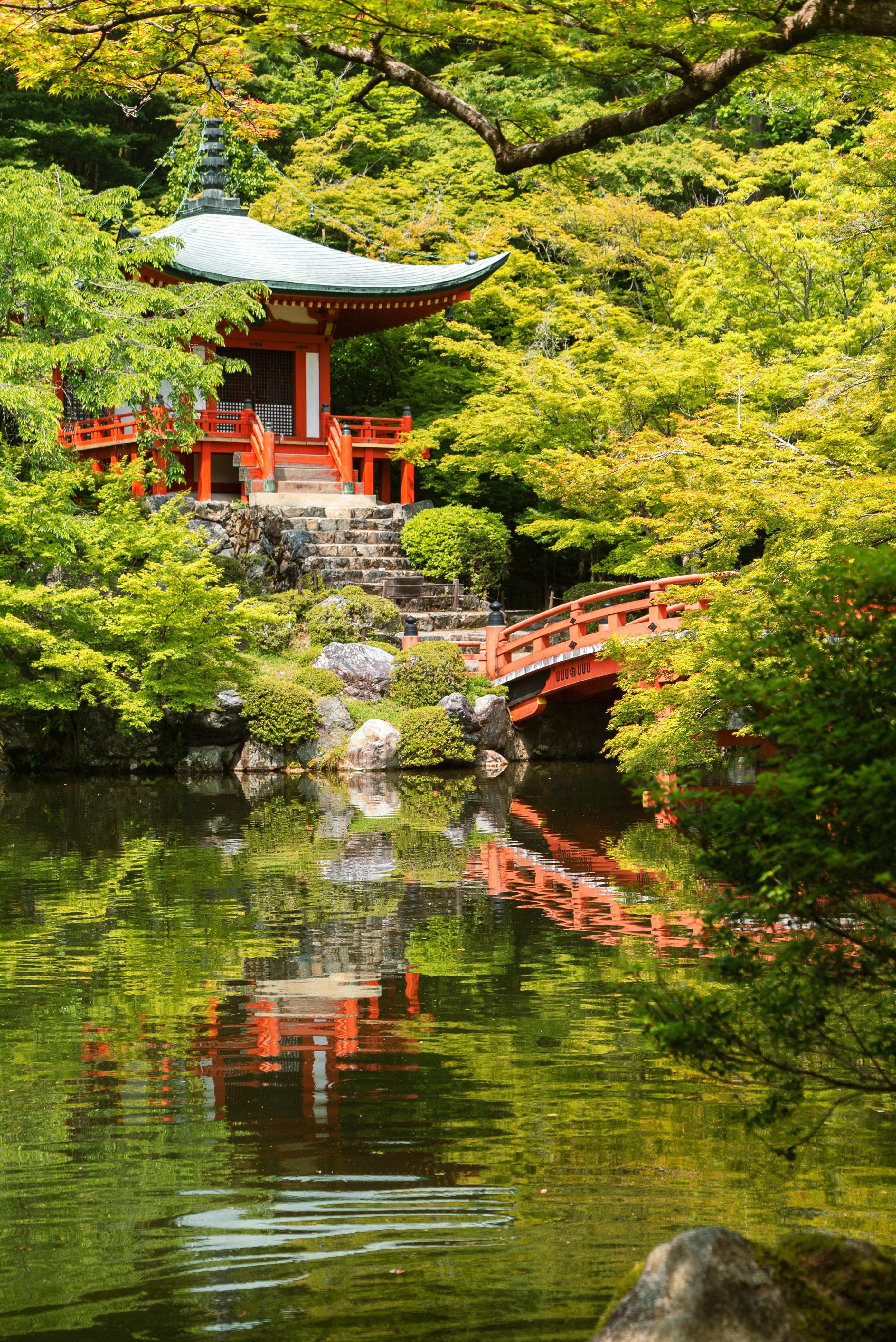 Privat tilpasset rundtur i Kyoto med luksuskjøretøy og guide
