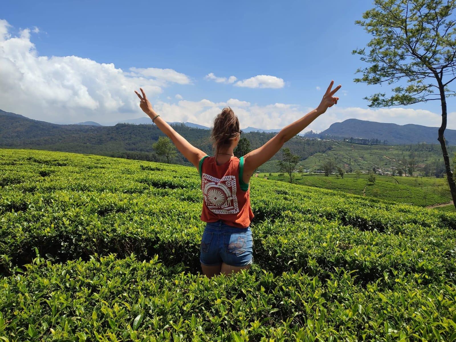 Nuwara Eliya Private Tuk-Tuk Tea & Waterfall Tour